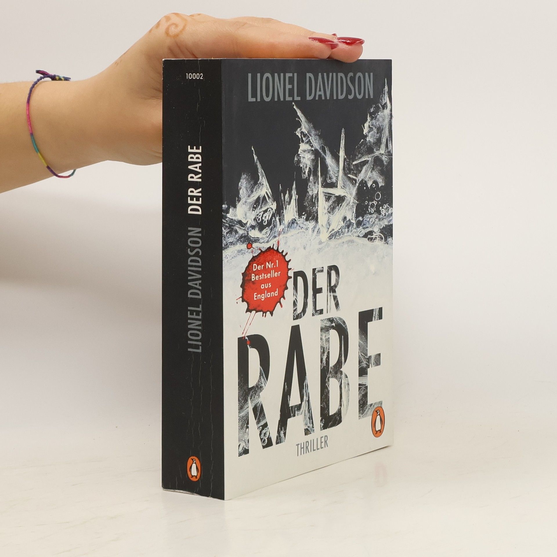 Lionel Davidson Der Rabe