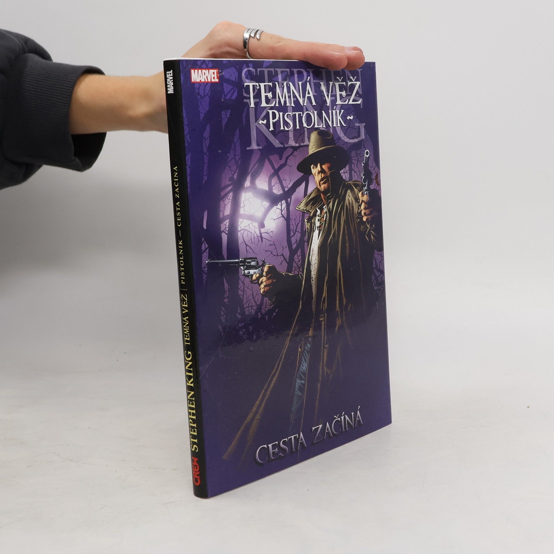 Peter David Temná věž 6: Pistolník 1: Cesta začíná