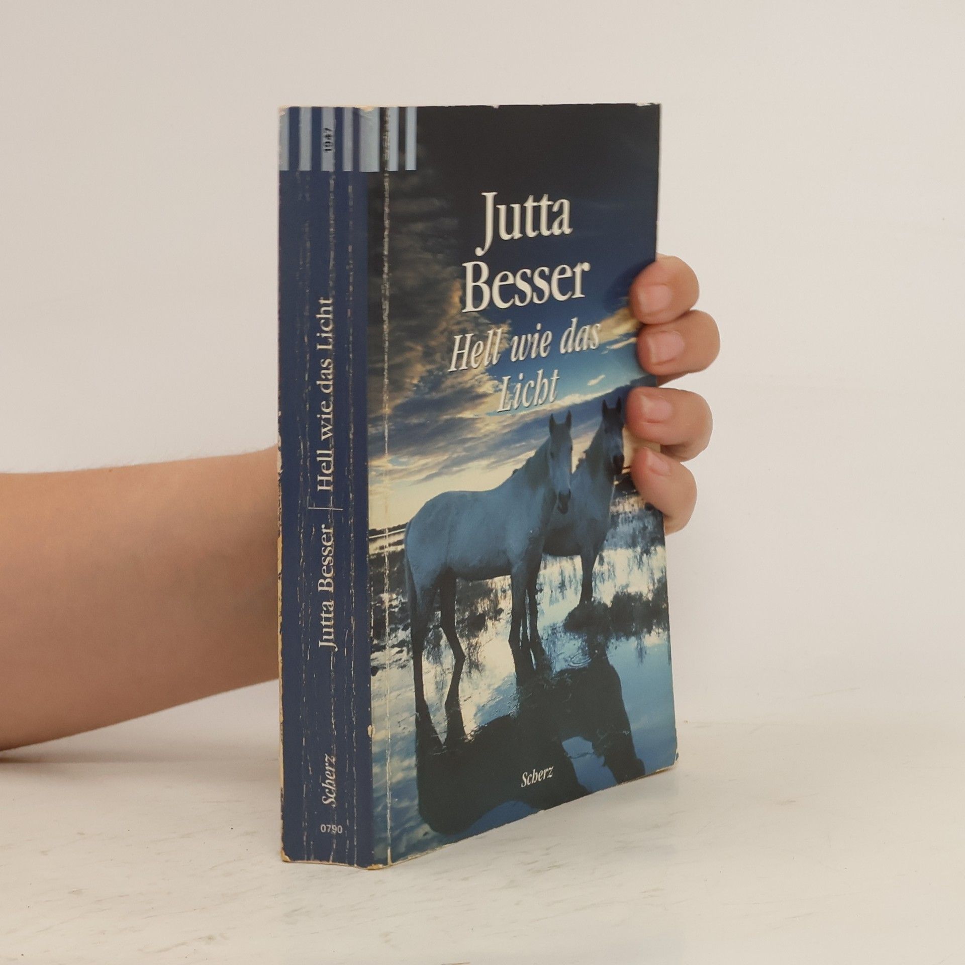 Jutta Besser Hell wie das Licht