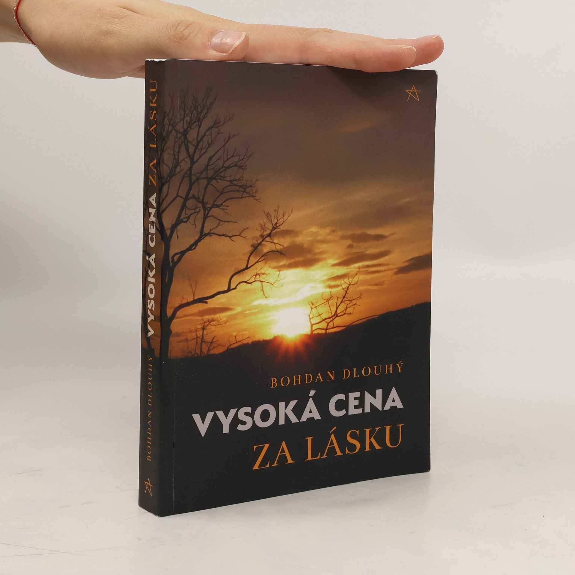 Bohdan Dlouhý Vysoká cena za lásku