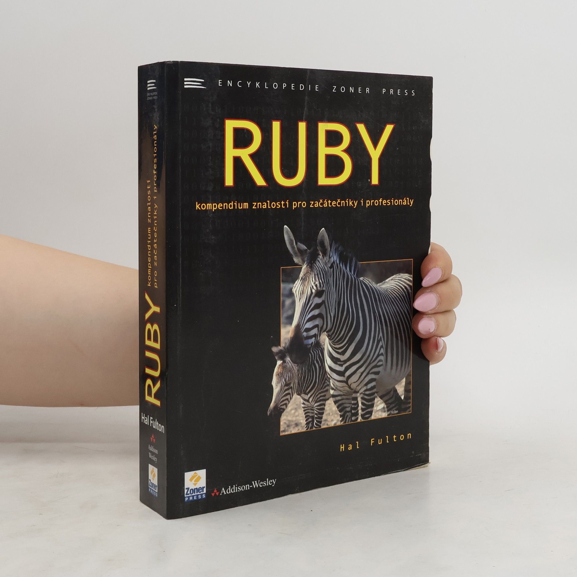 Hal Fulton Ruby. Kompendium znalostí pro začátečníky i profesionály