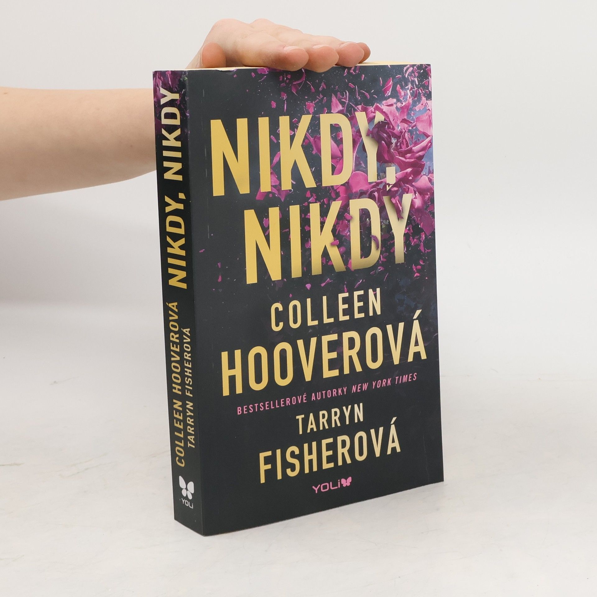 Colleen Hoover Nikdy, nikdy