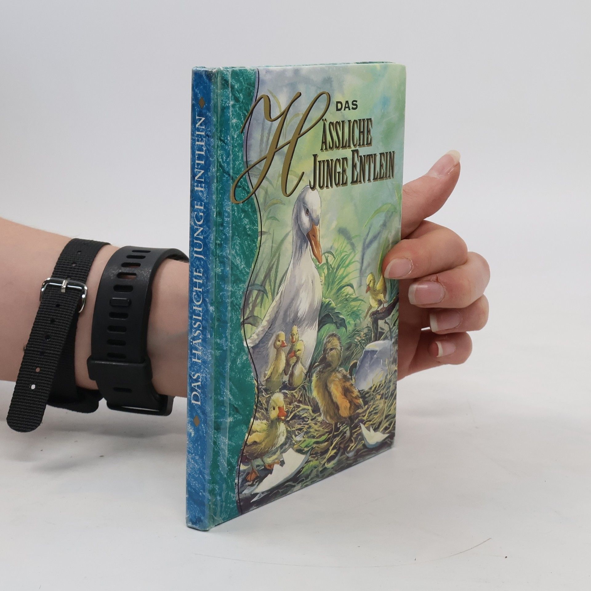 Hans Christian Andersen Das Hässliche Junge Entlein