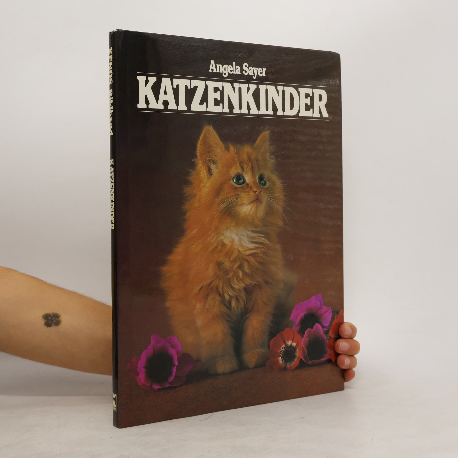 Angela Rixon Katzenkinder