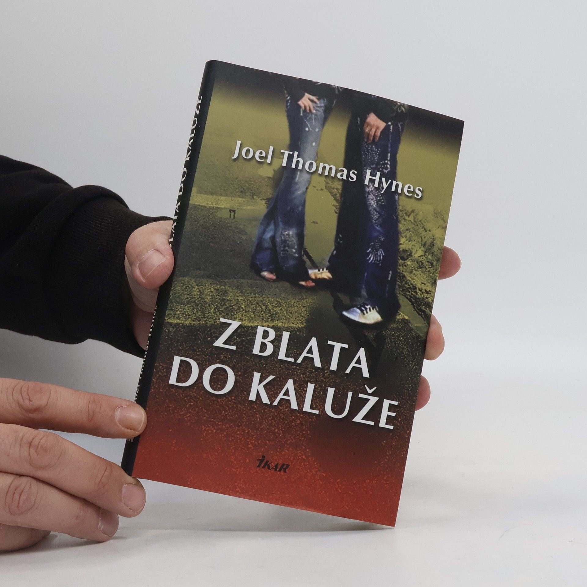 Joel Thomas Hynes Z blata do kaluže