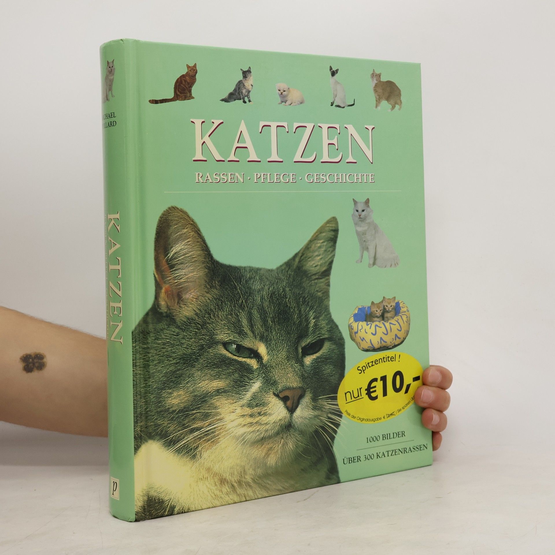 Michael Pollard Katzen