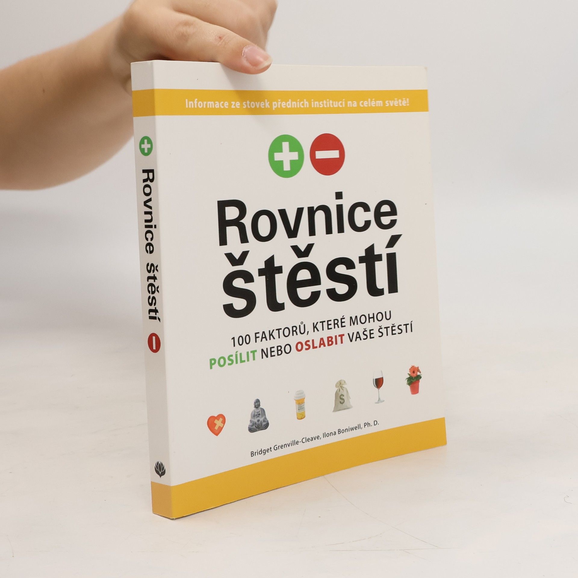 Bridget Grenville-Cleave Rovnice štěstí