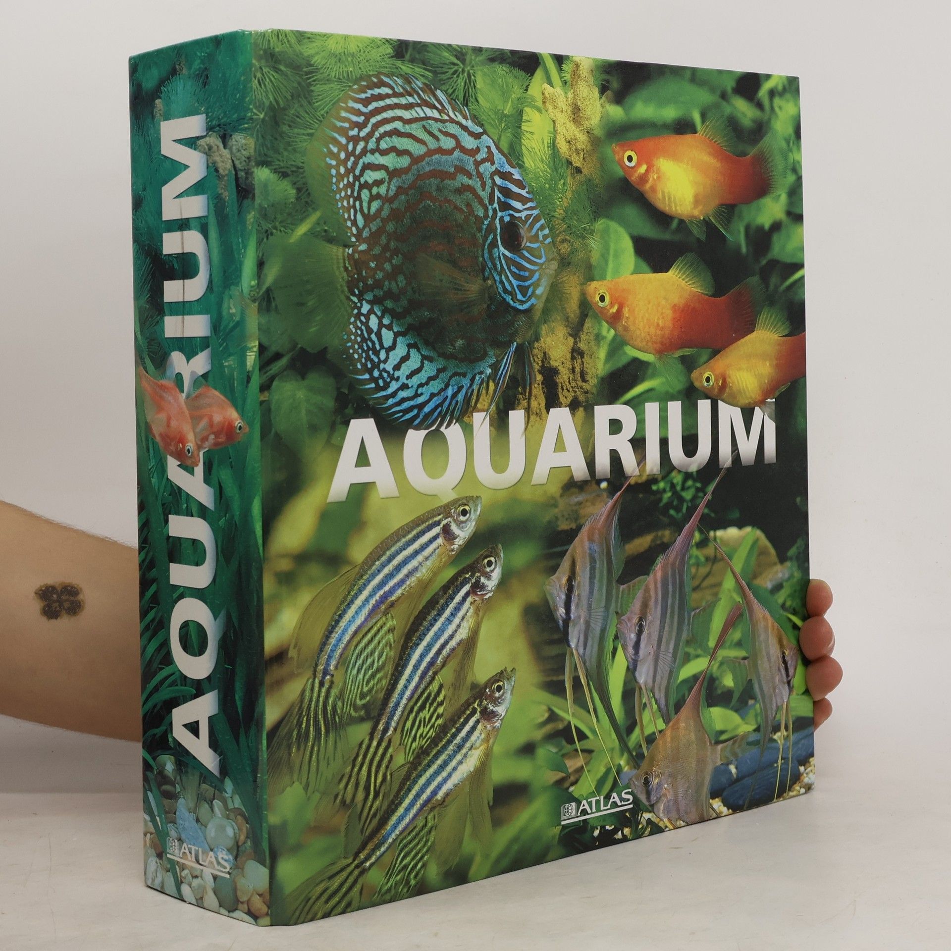 Collective Aquarium