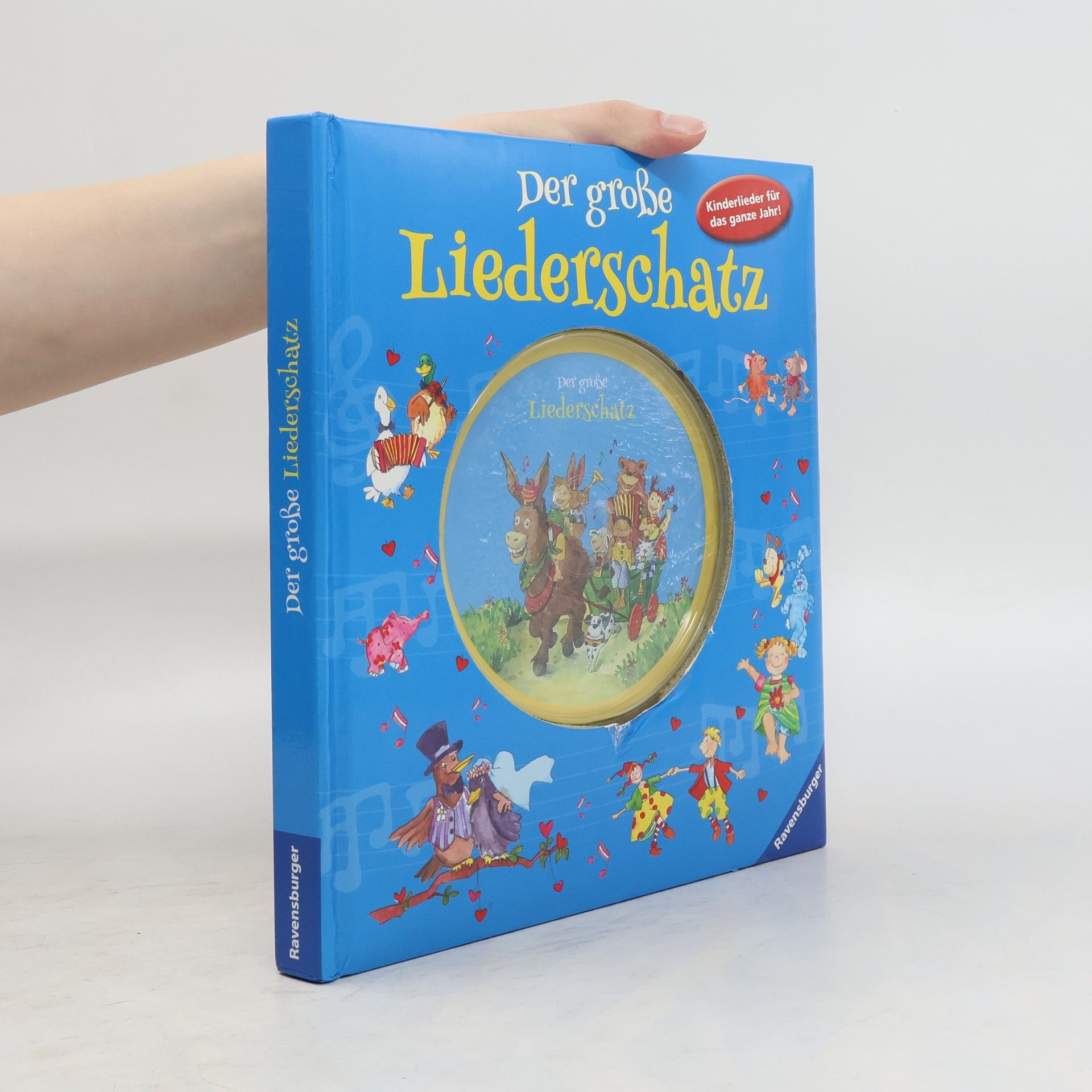 kolektiv Der große Liederschatz