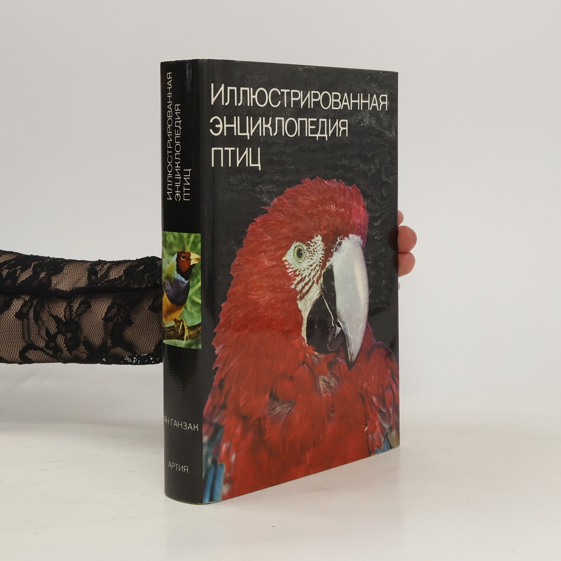 Autorenkollektiv Иллюстрированная энциклопедия птиц (Illjustrirovannaja ehnciklopedija ptic)