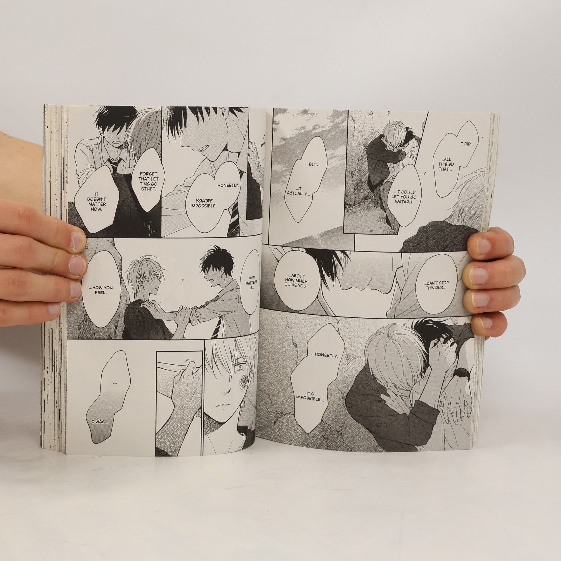Nagisa Furuya My Summer of You 1: The Summer of You