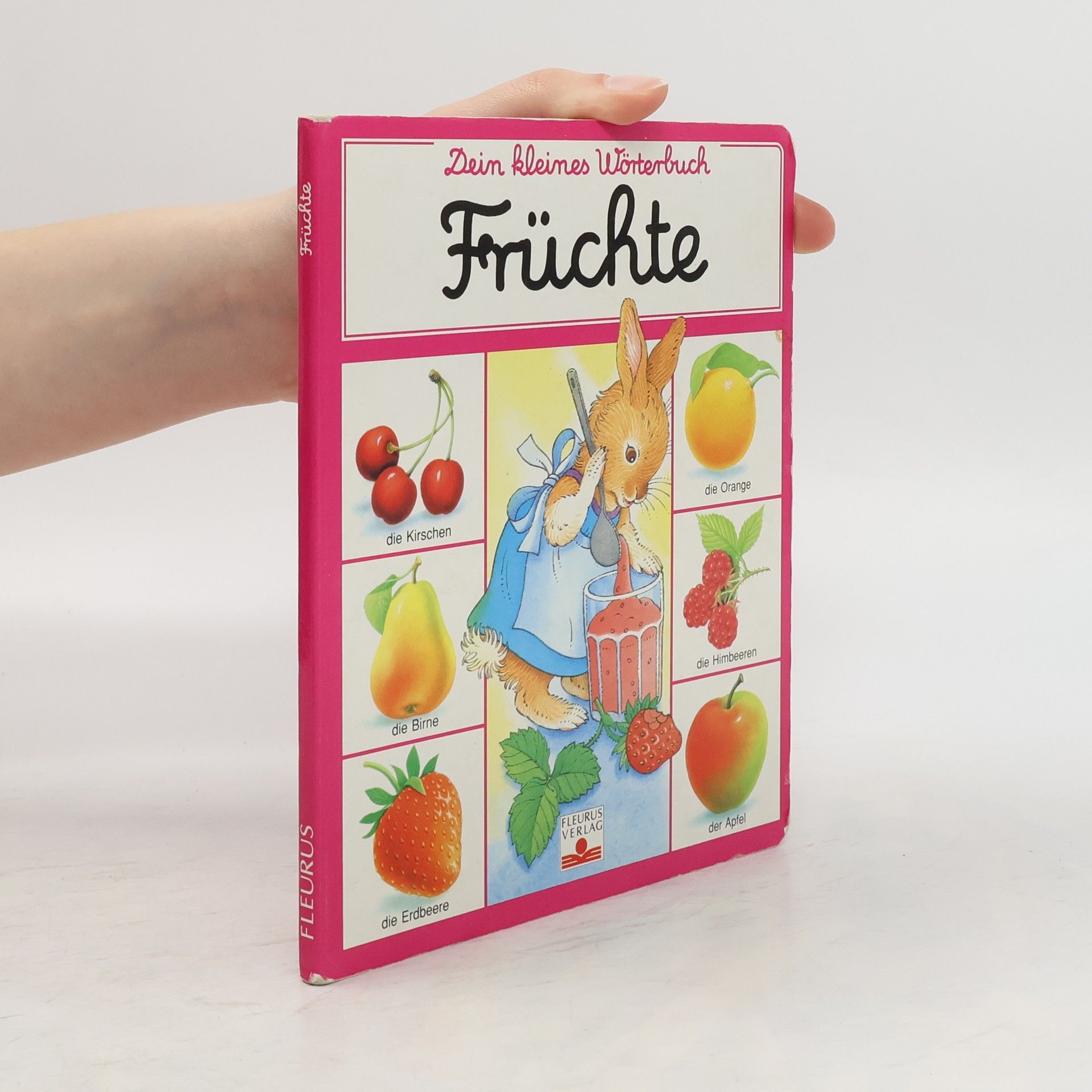 Violayne Hulné Dein kleines Wörterbuch Früchte