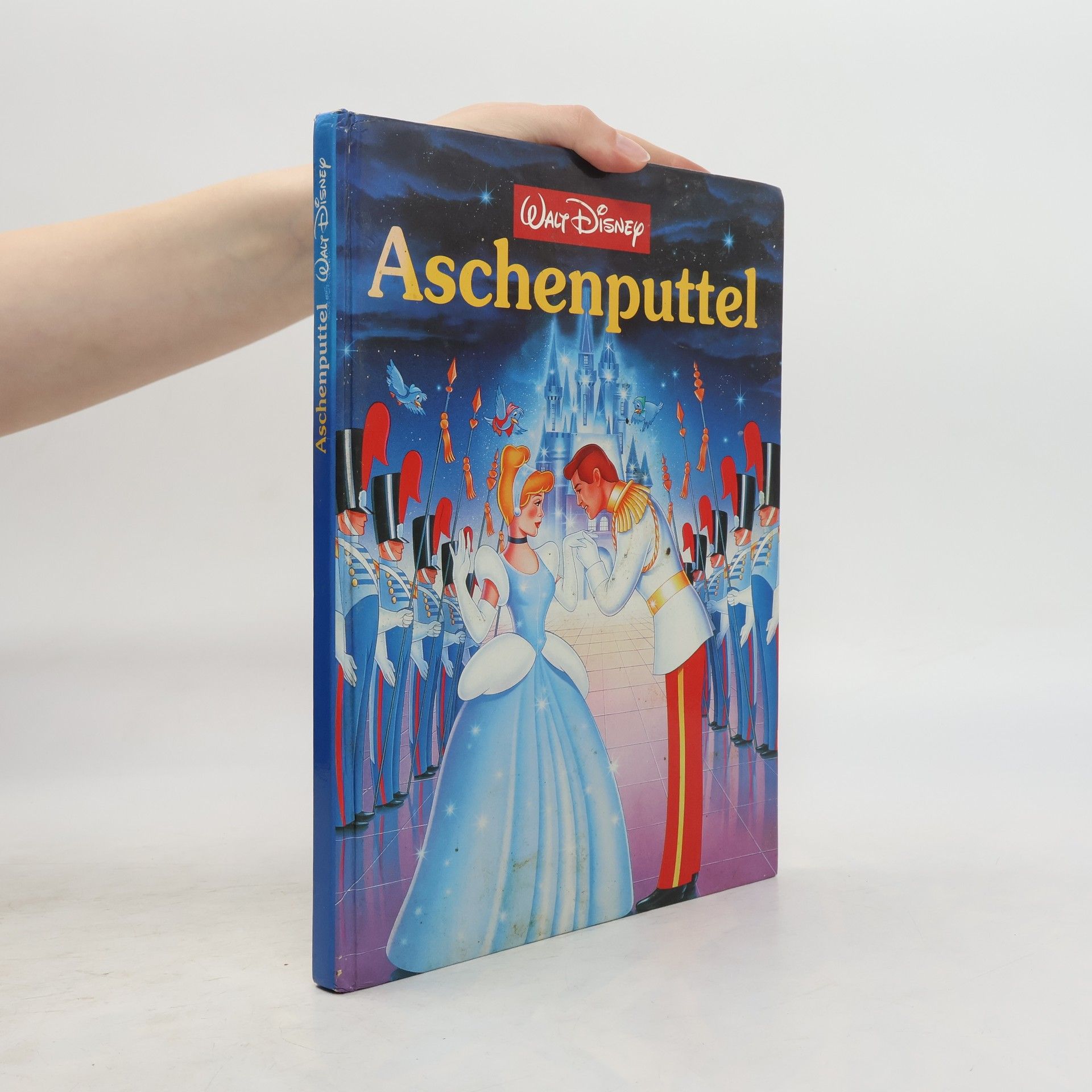 kolektiv Aschenputtel