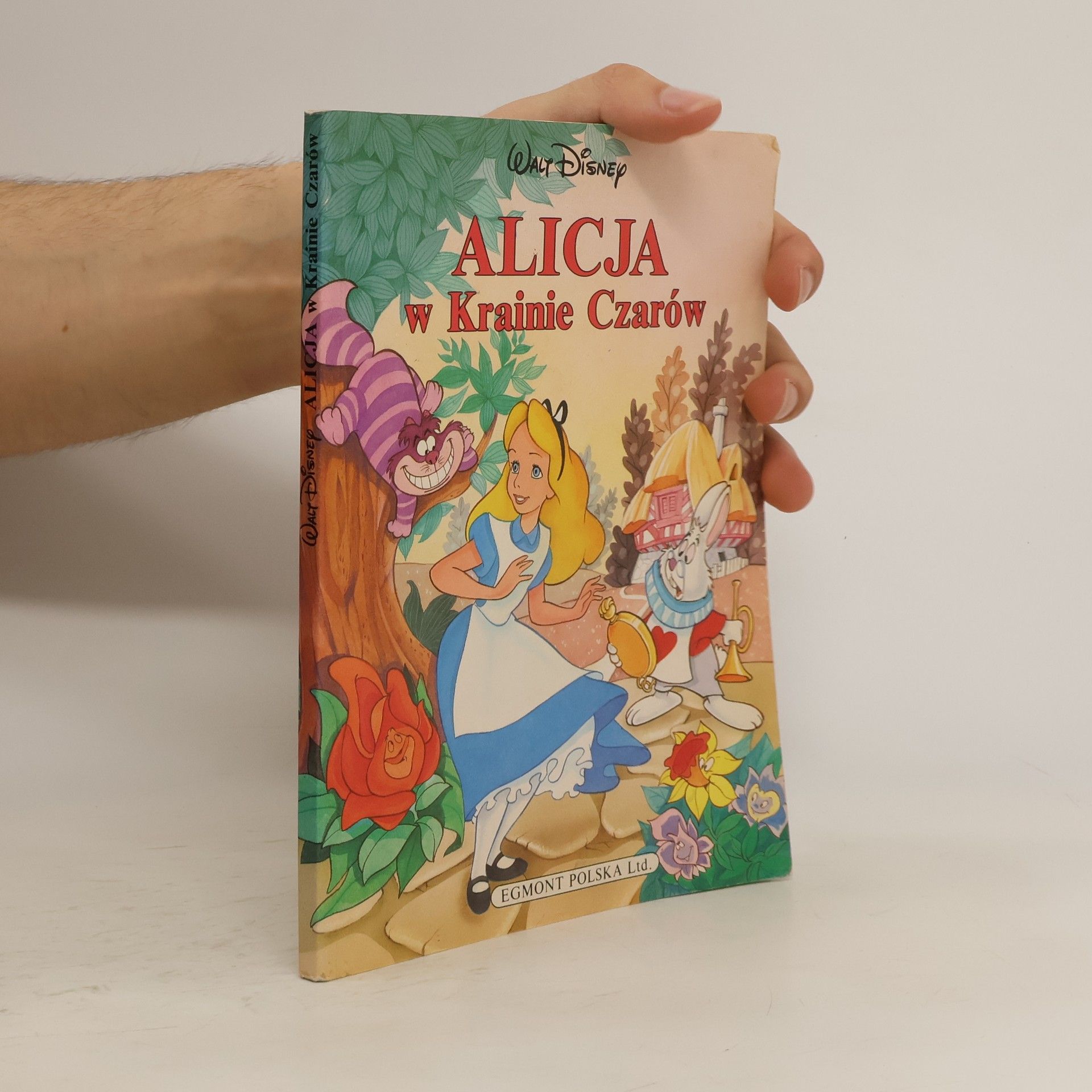 Collectif d'auteurs Alicja w Kraine Czarów