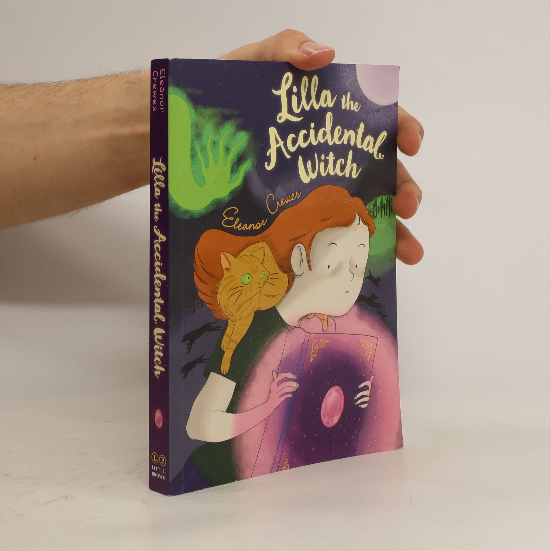 Eleanor Crewes Lilla the Accidental Witch