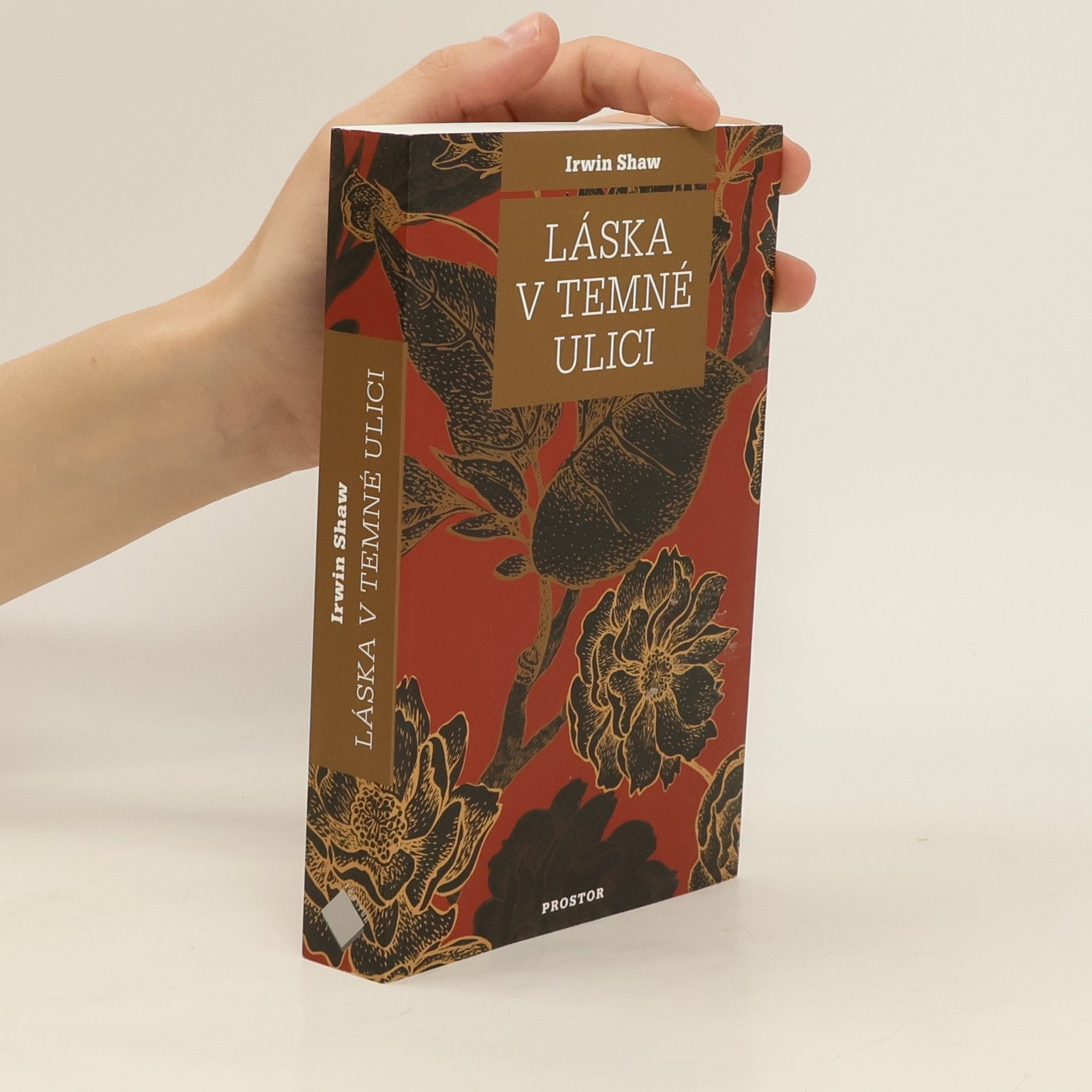 Irwin Shaw Láska v temné ulici