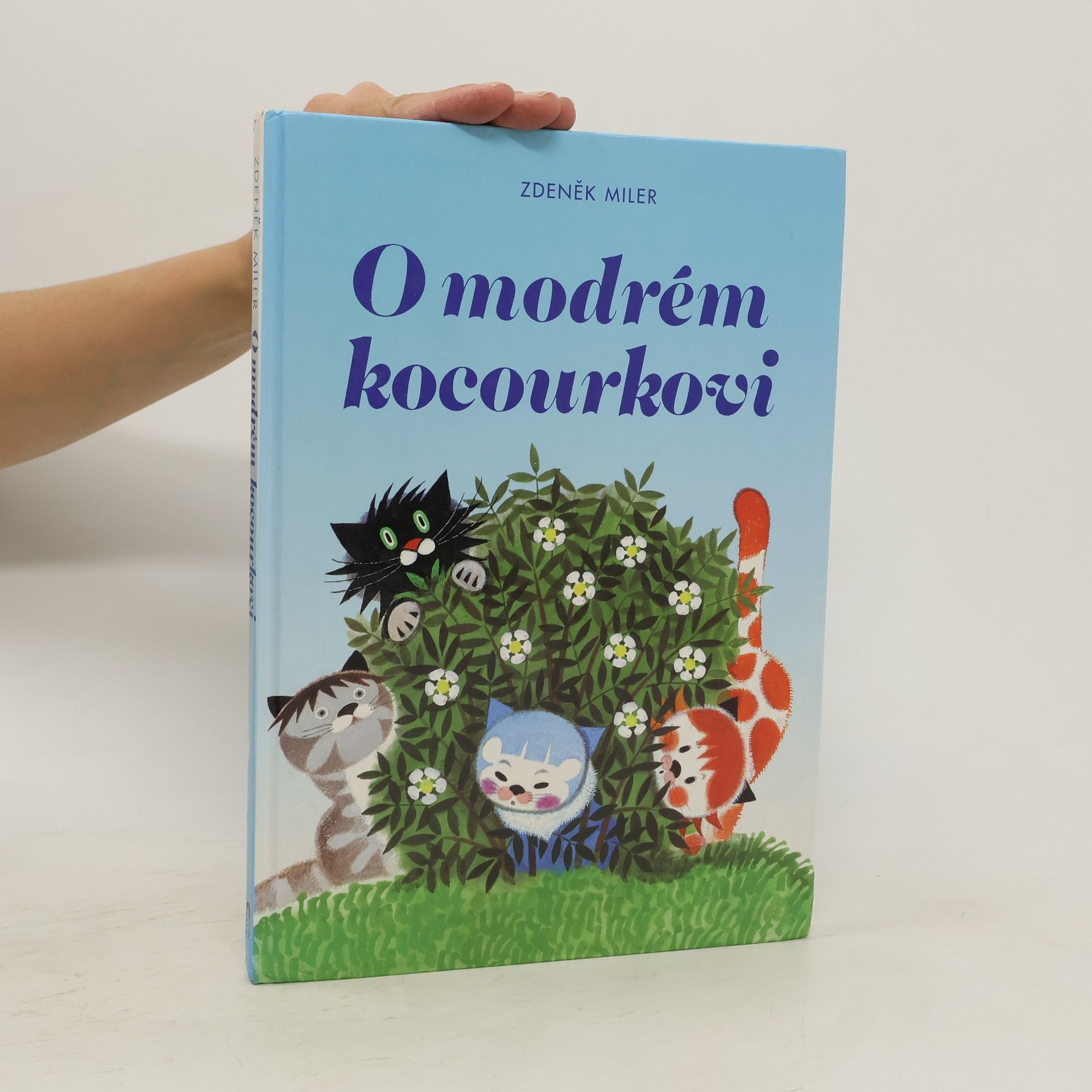 Marika Hellstrom Kennedy O modrém kocourkovi