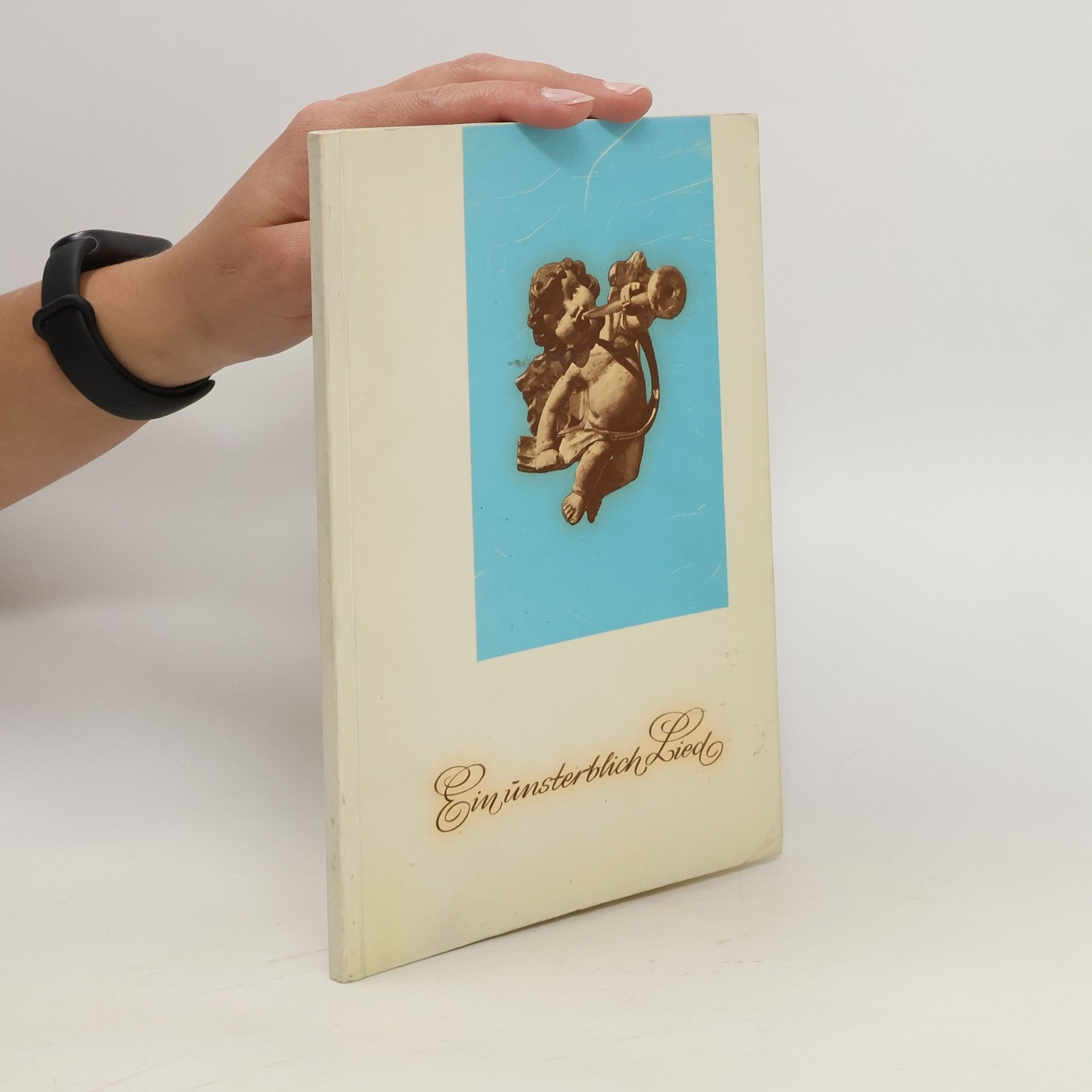 Autorenkollektiv Ein unsterblich Lied