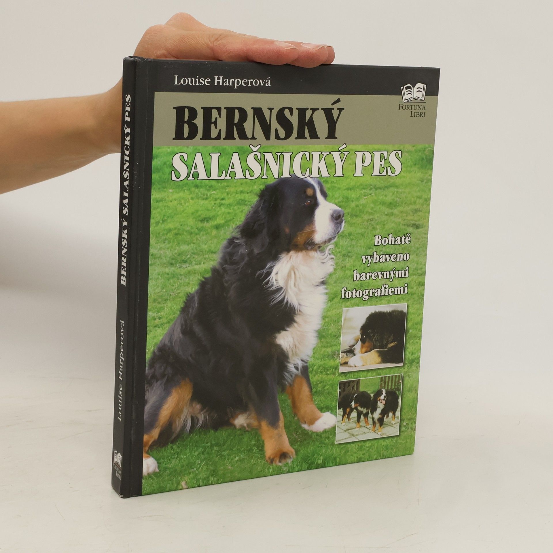 Louise Harper Bernský salašnický pes