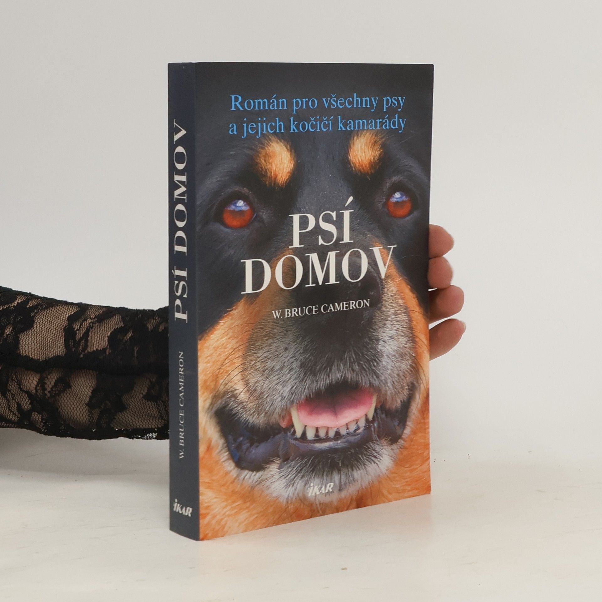 W. Bruce Cameron Psí domov: Román pro všechny psy a jejich kočičí kamarády