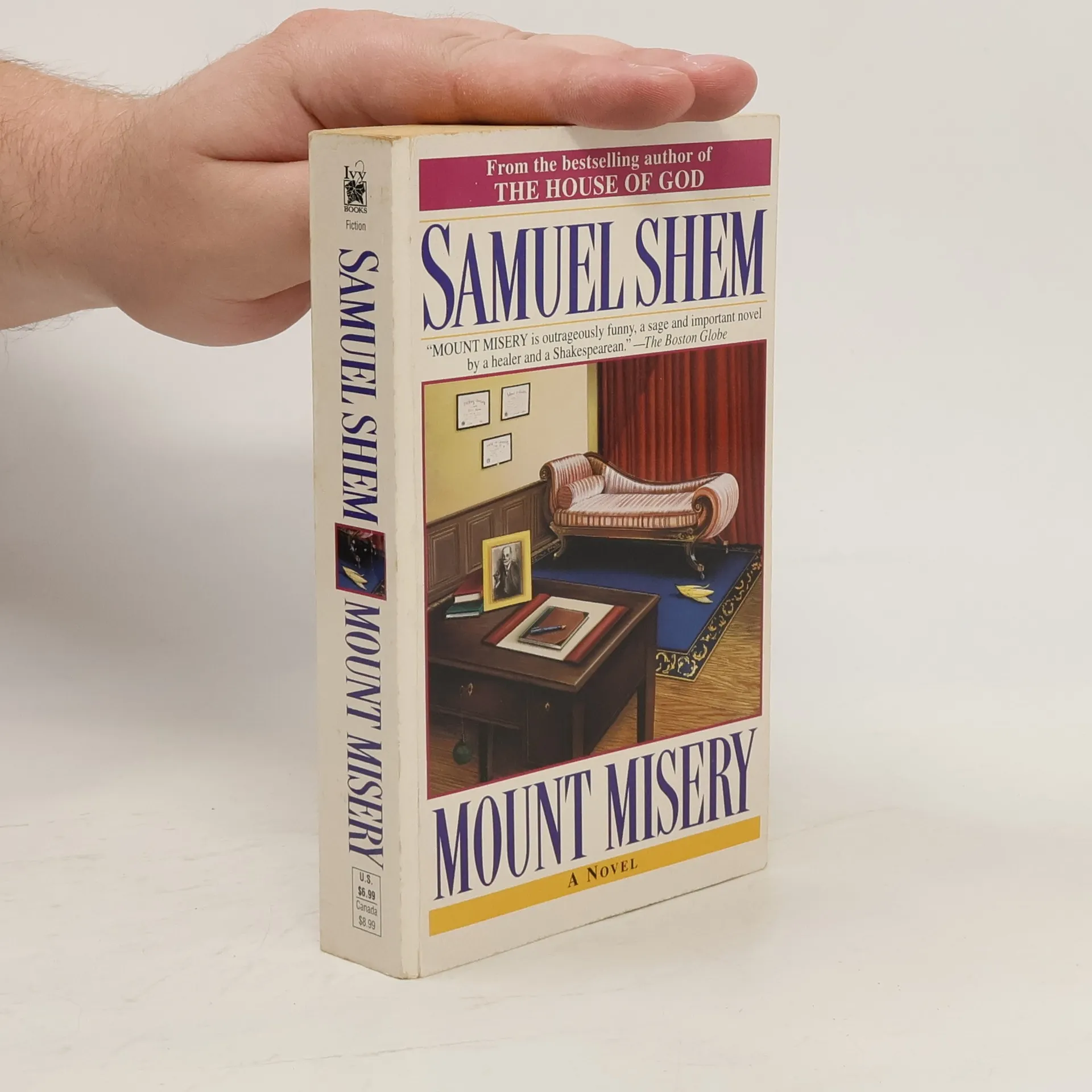 Mount Misery | Book | Paperback | Samuel Shem | EN