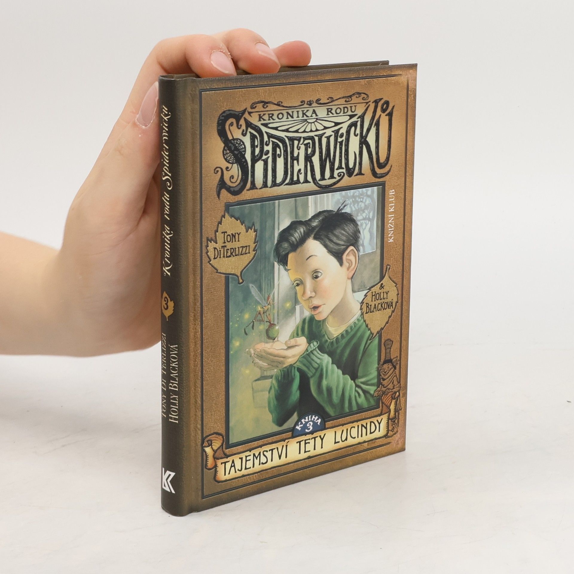 Tony DiTerlizzi Kronika rodu Spiderwicků. Kniha 3, Tajemství tety Lucindy