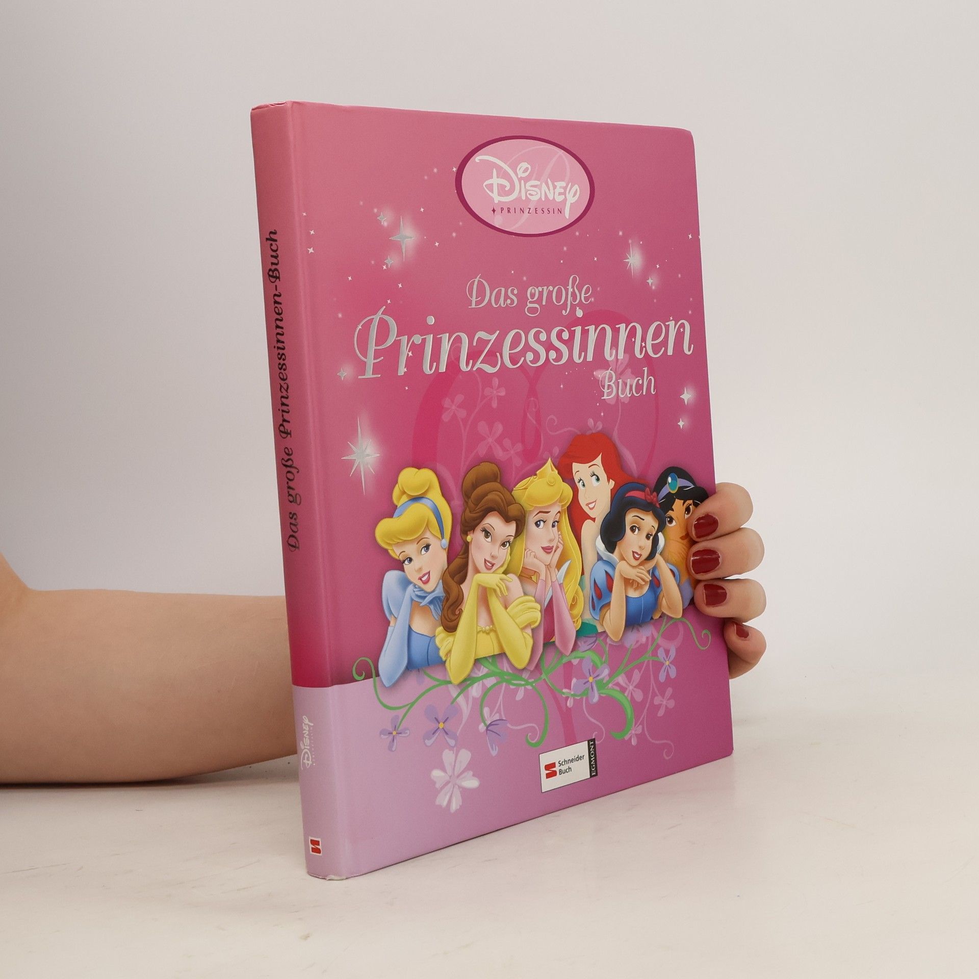 Collective Das große Prinzessinnen-Buch
