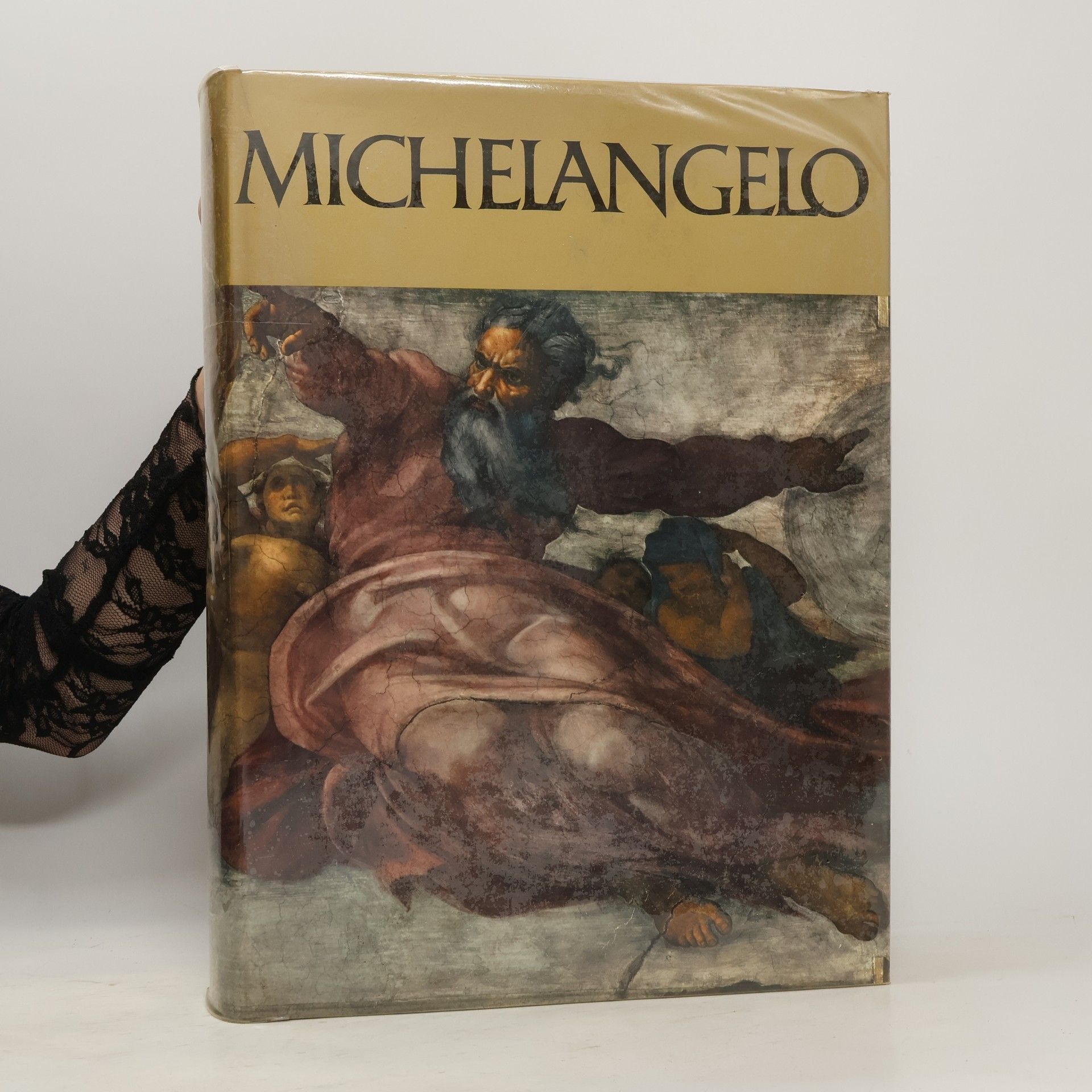 Collectif d'auteurs Michelangelo