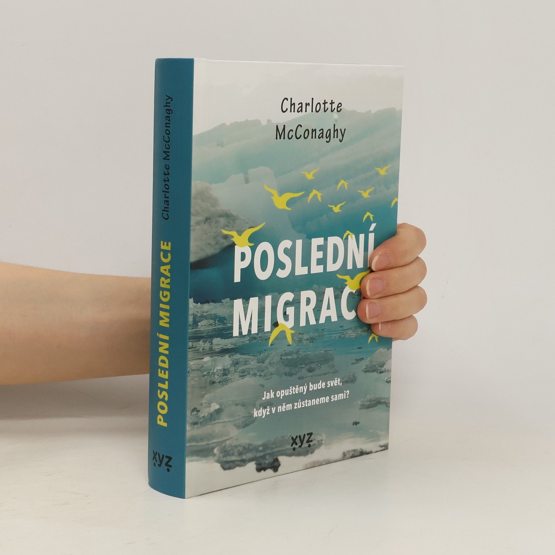 CHARLOTTE. MCCONAGHY Poslední migrace