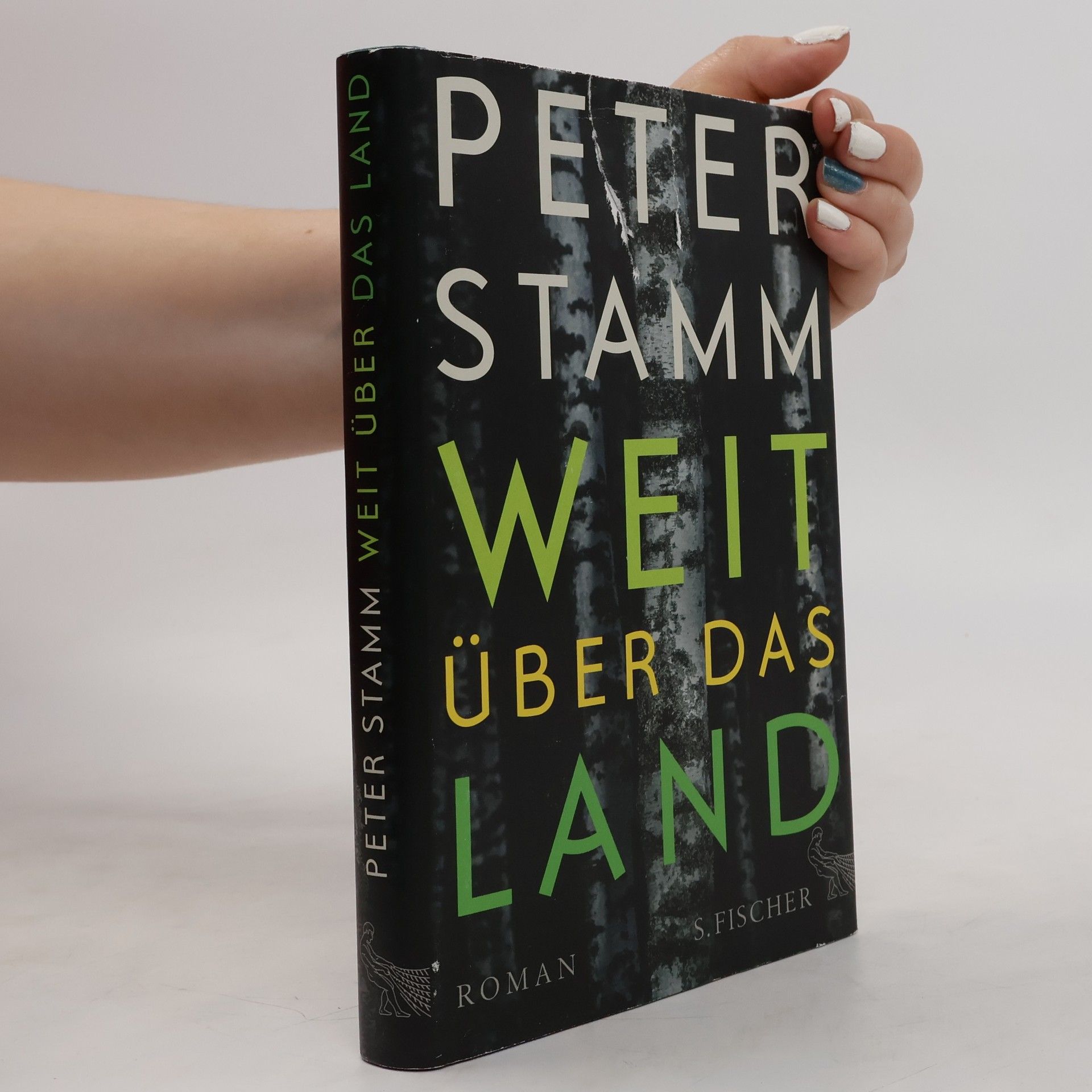 Peter Stamm Weit über das Land