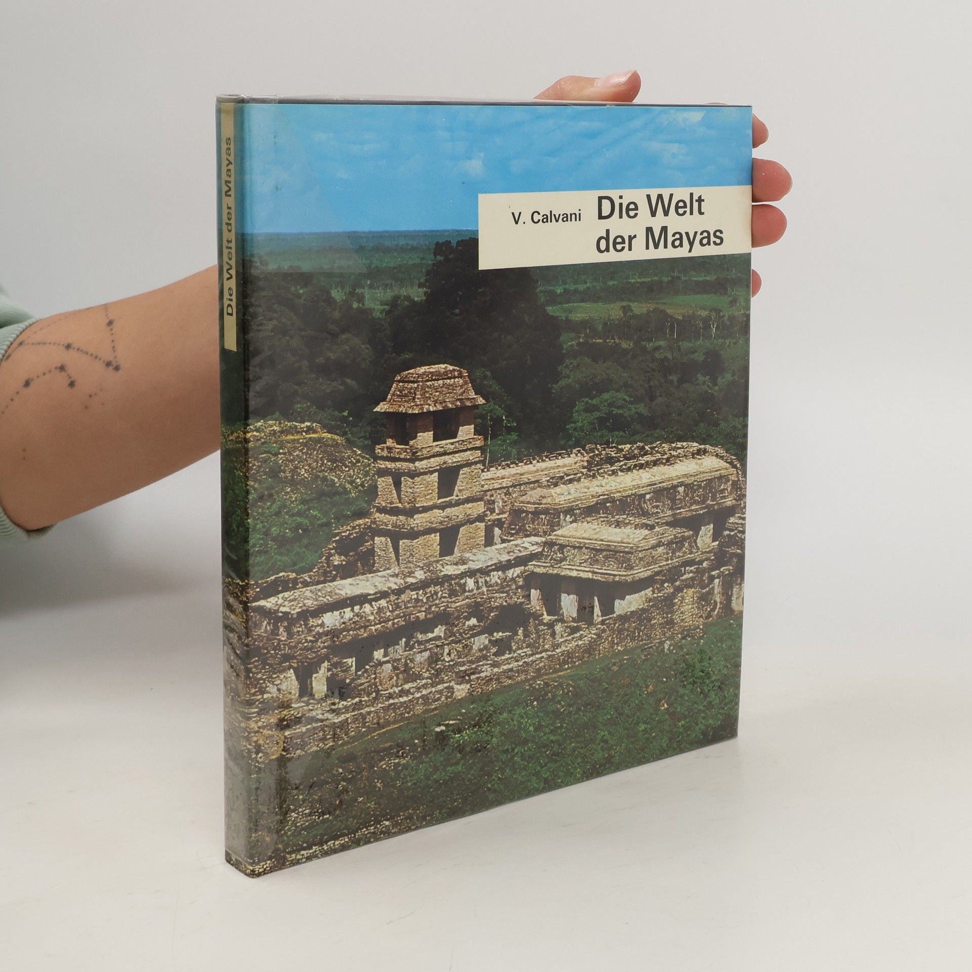 Vittoria Calvani Die Welt der Mayas