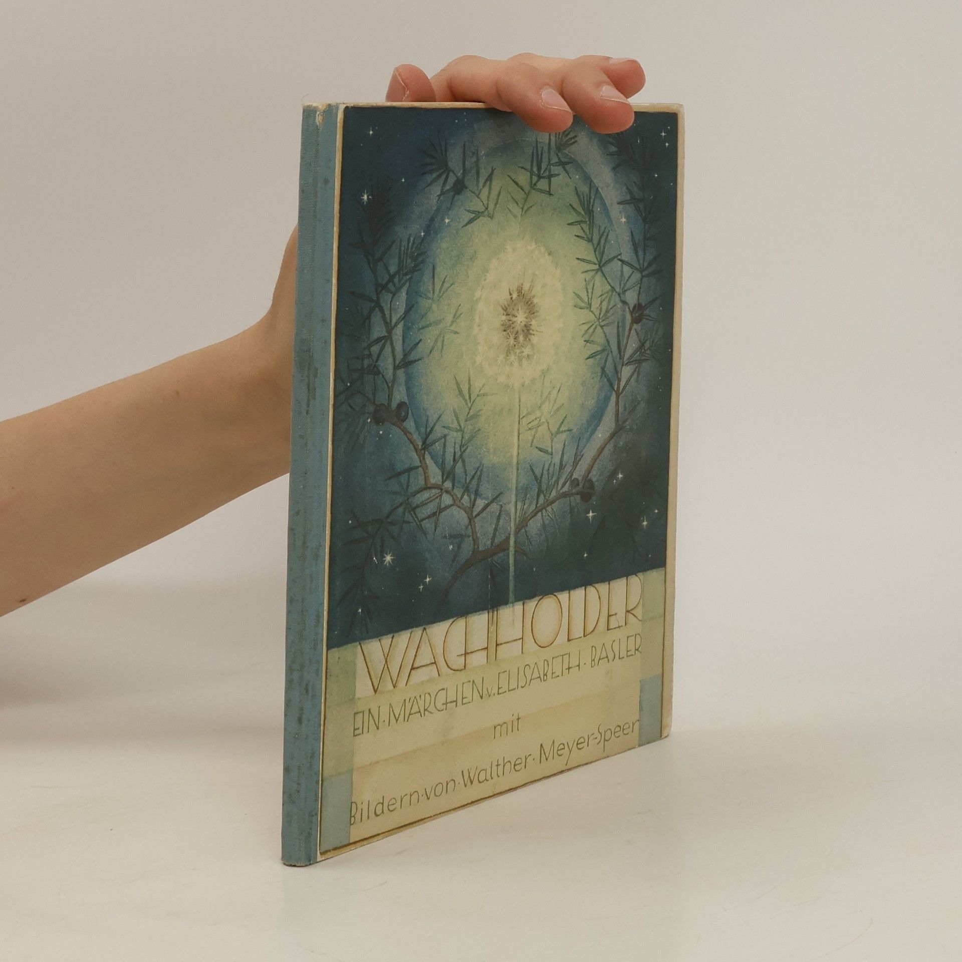 Walther Meyer-Speer Wacholder. Ein Märchen von Elisabeth Basler