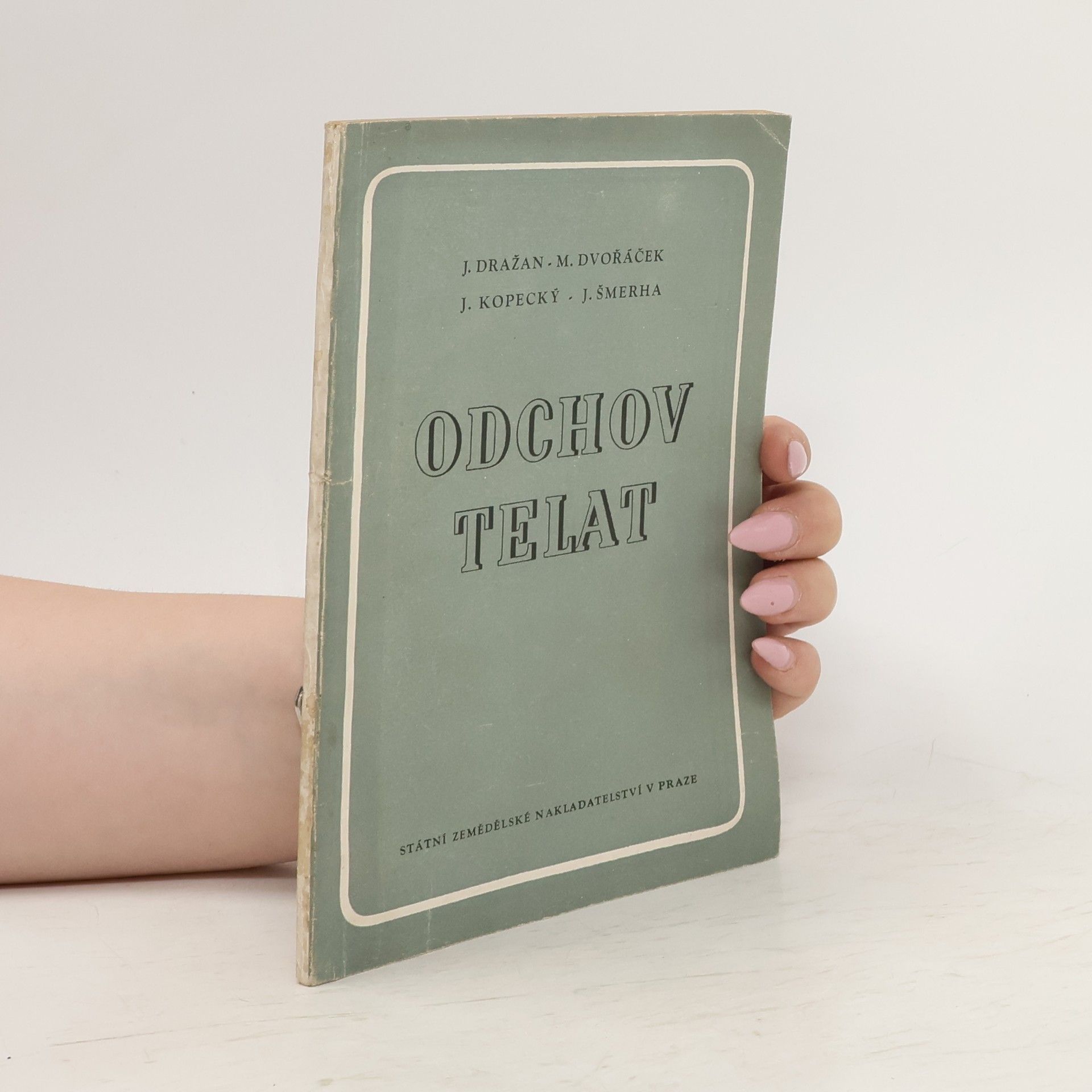 J. Dražan Odchov telat