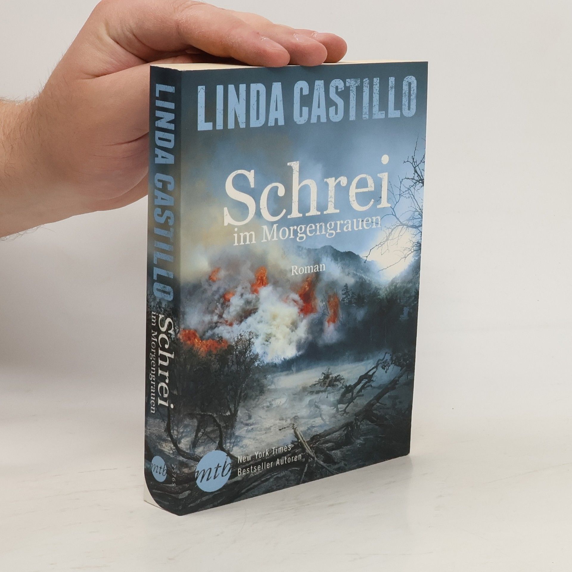 Linda Castillo Schrei im Morgengrauen