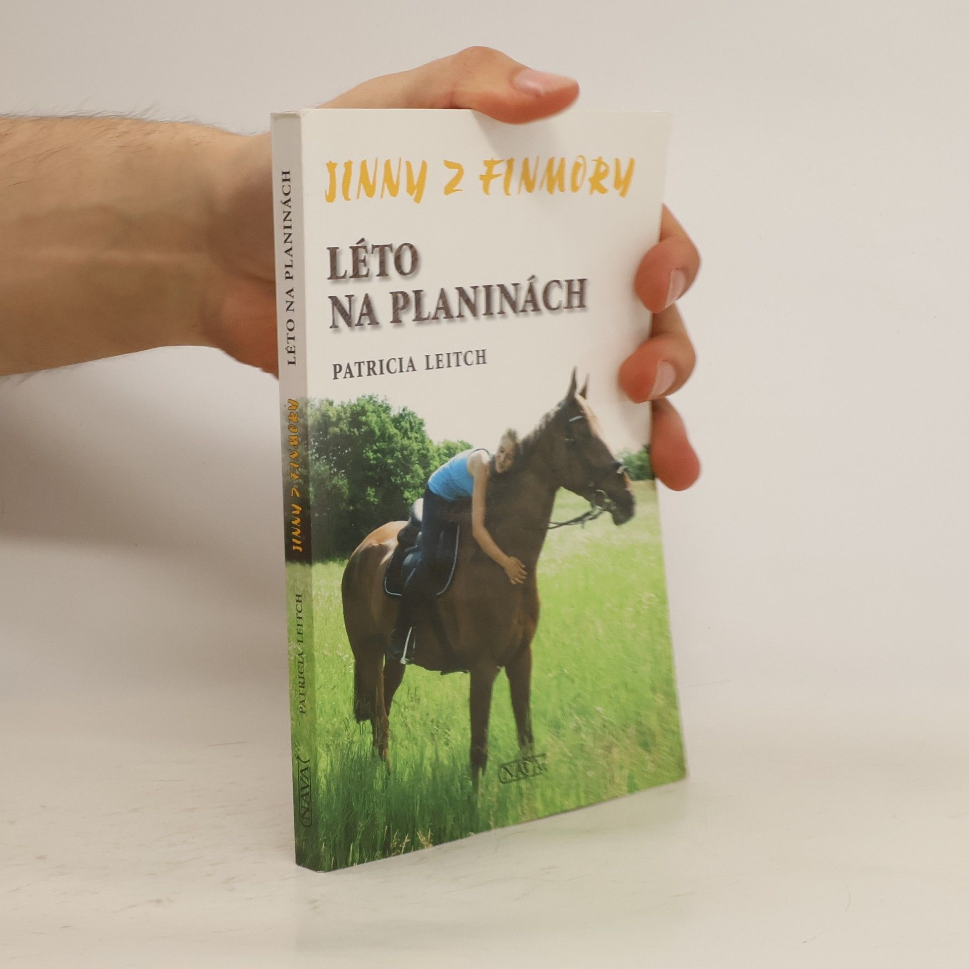 Patricia Leitch Léto na planinách