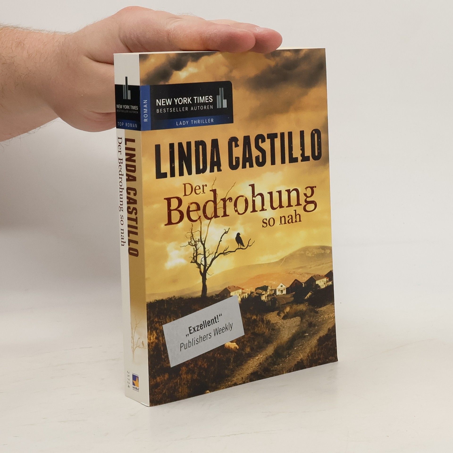 Linda Castillo Der Bedrohung so nah