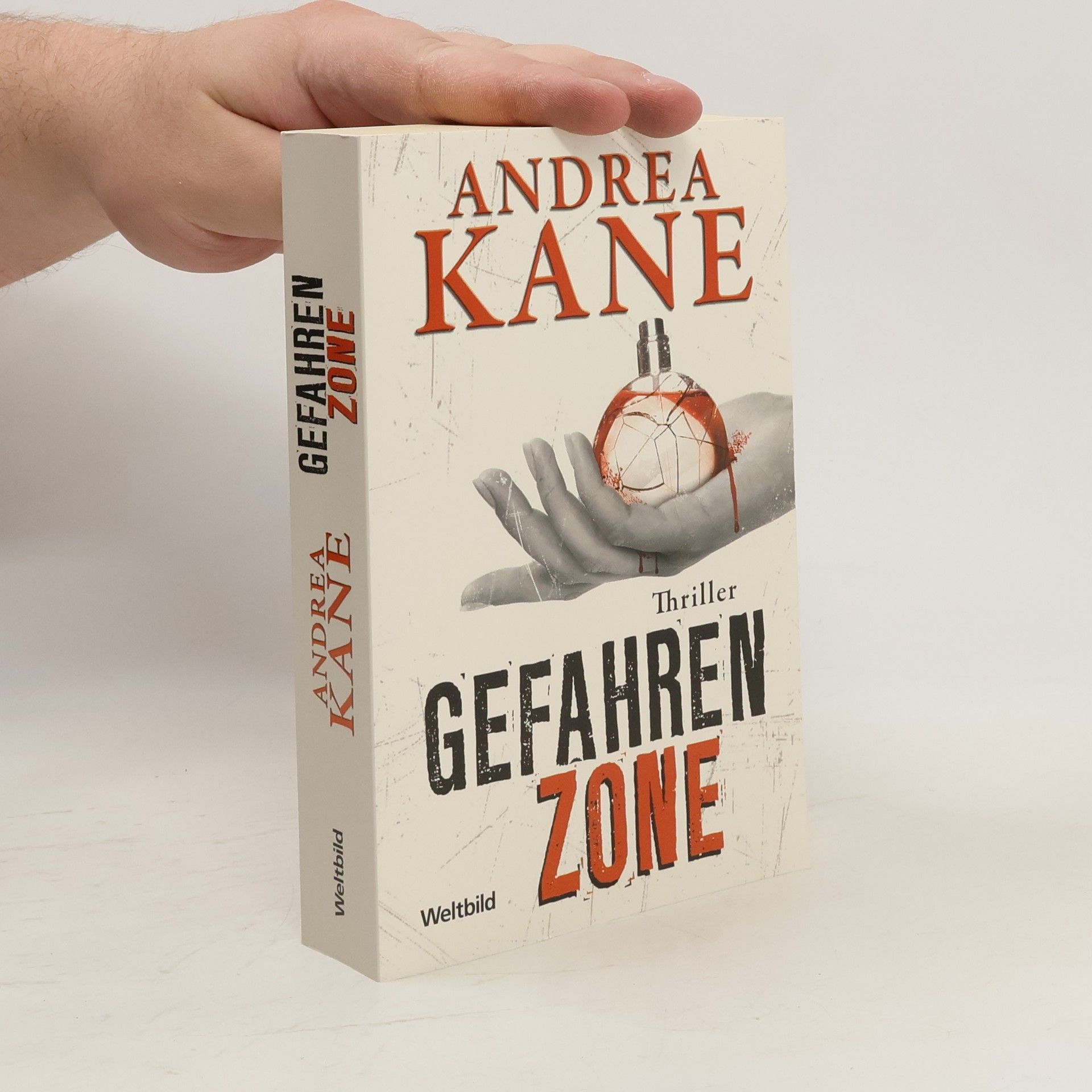 Andrea Kane Gefahren-Zone