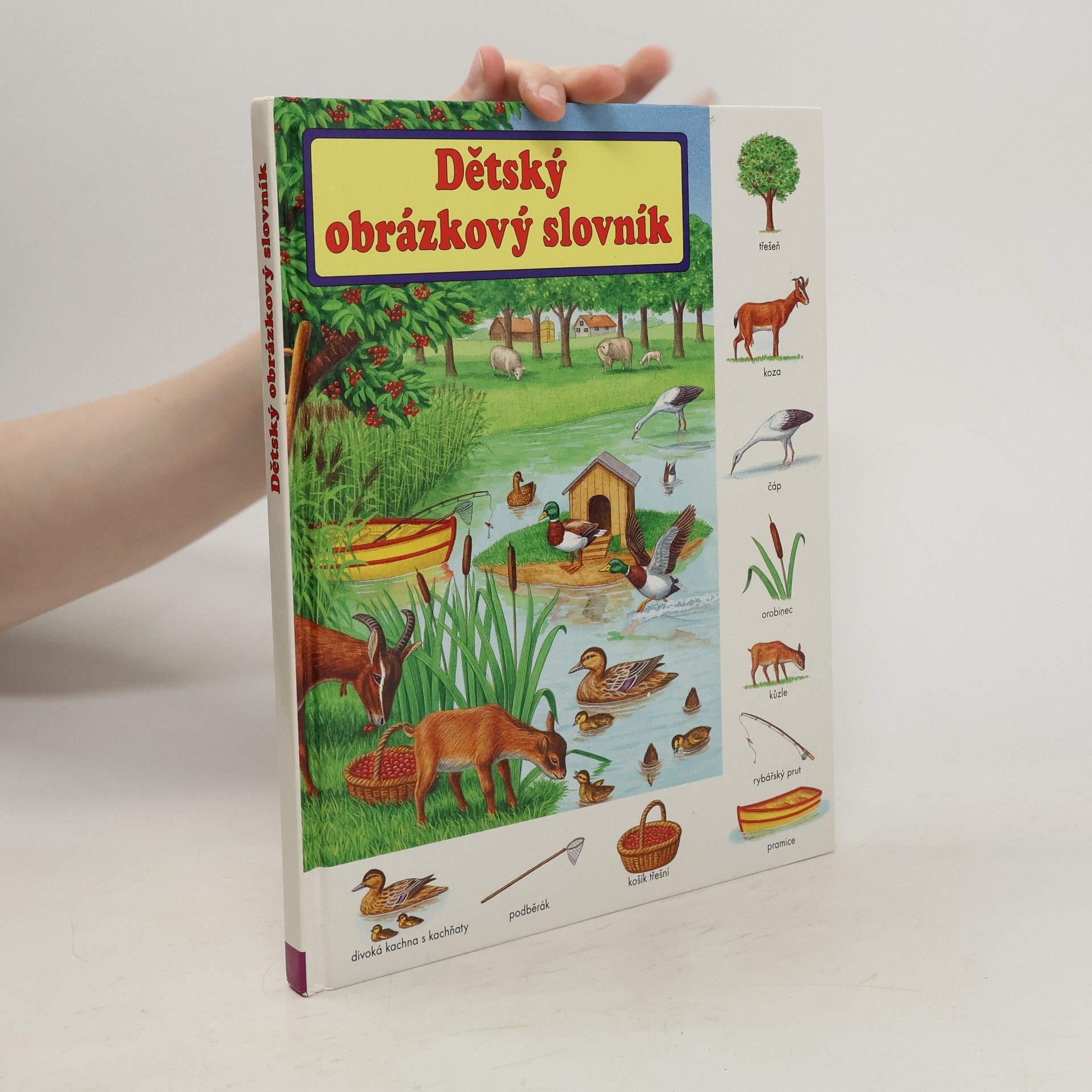 Gisela Fischer-Lingat Dětský obrázkový slovník