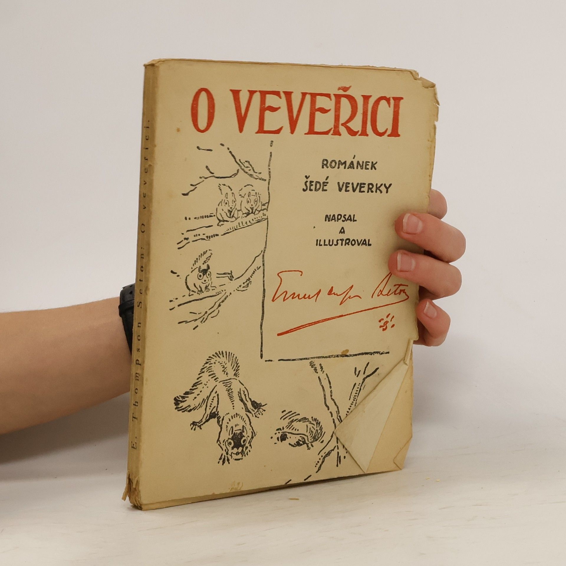 Ernest Thompson Seton O veveřici. Románek šedé veverky