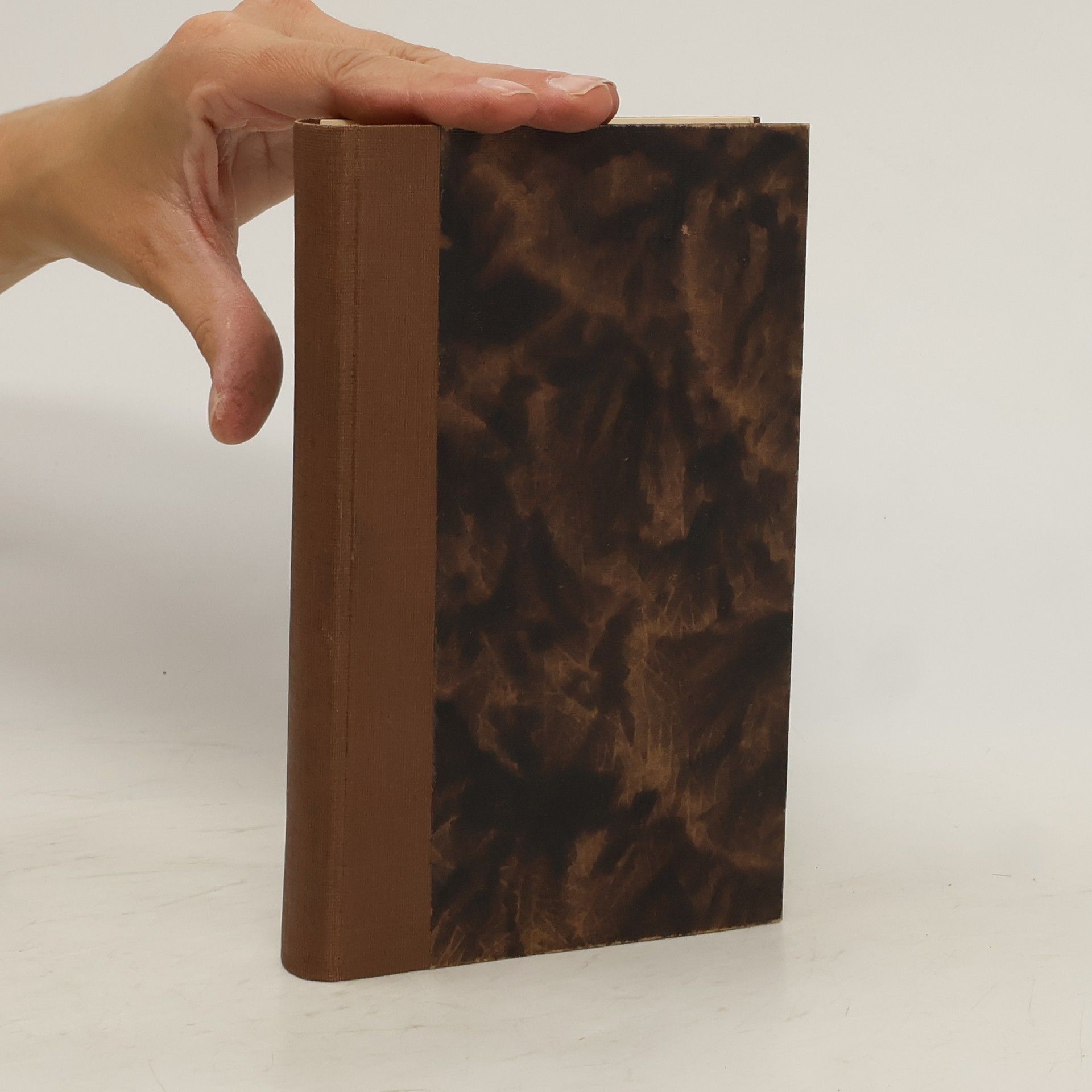 Collectif d'auteurs Kniha vžitečná y kratochwilná, genž slowe: Rada wsselikých Zwjřat nerozumných neb zhowadilých