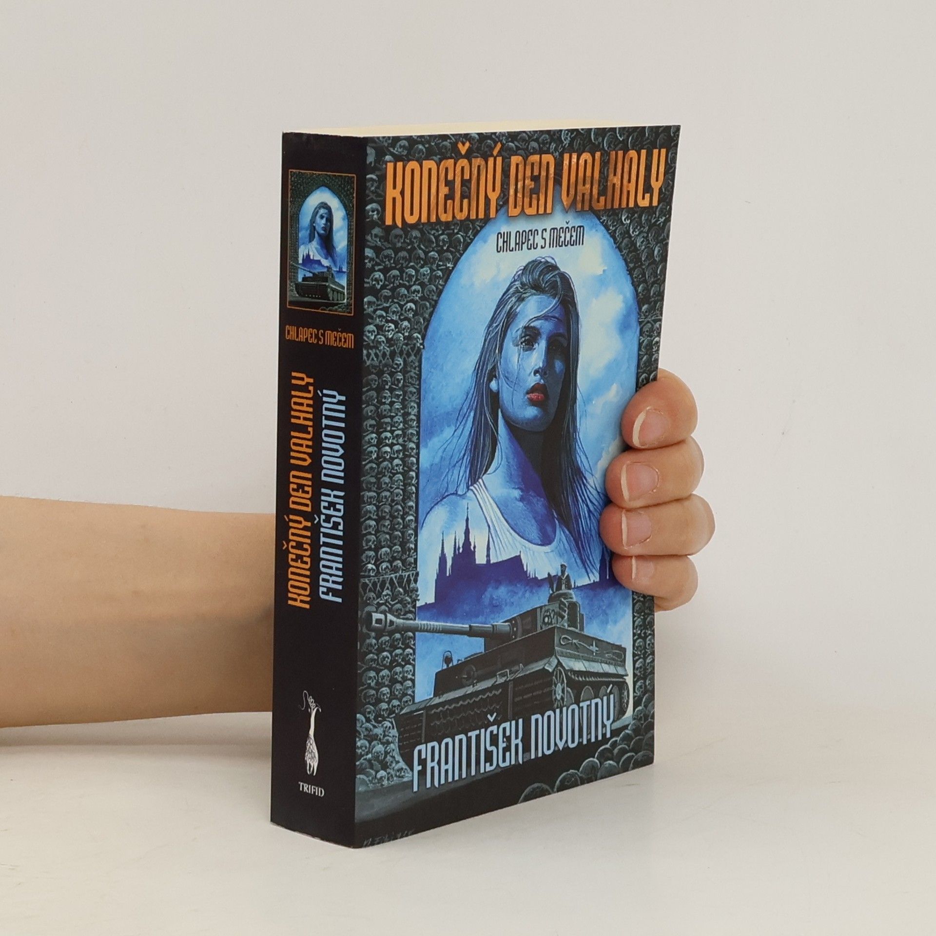 František Novotný Konečný den Valhaly – Chlapec s mečem
