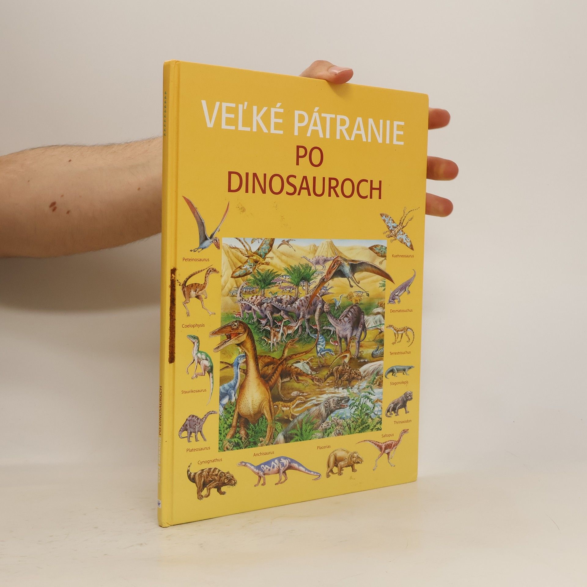 Rosie Heywood Veľké pátranie po dinosauroch