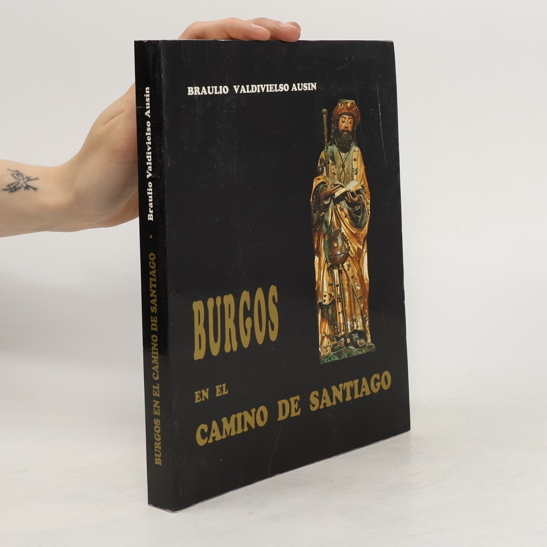 Braulio Valdivielso Ausín Burgos en el Camino de Santiago