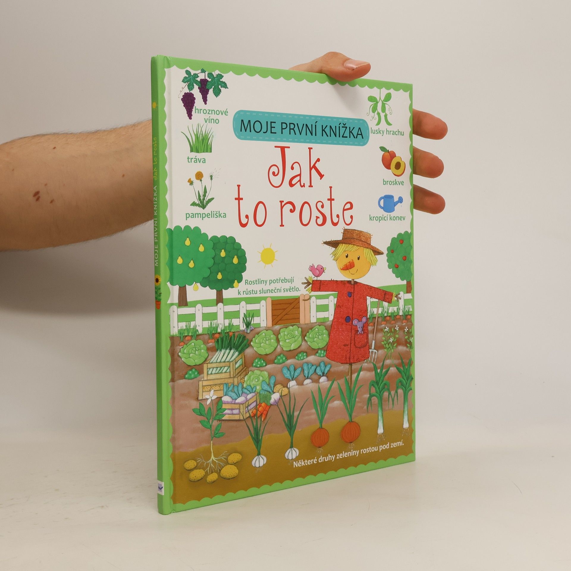 Felicity Brooks Moje první knížka. Jak to roste