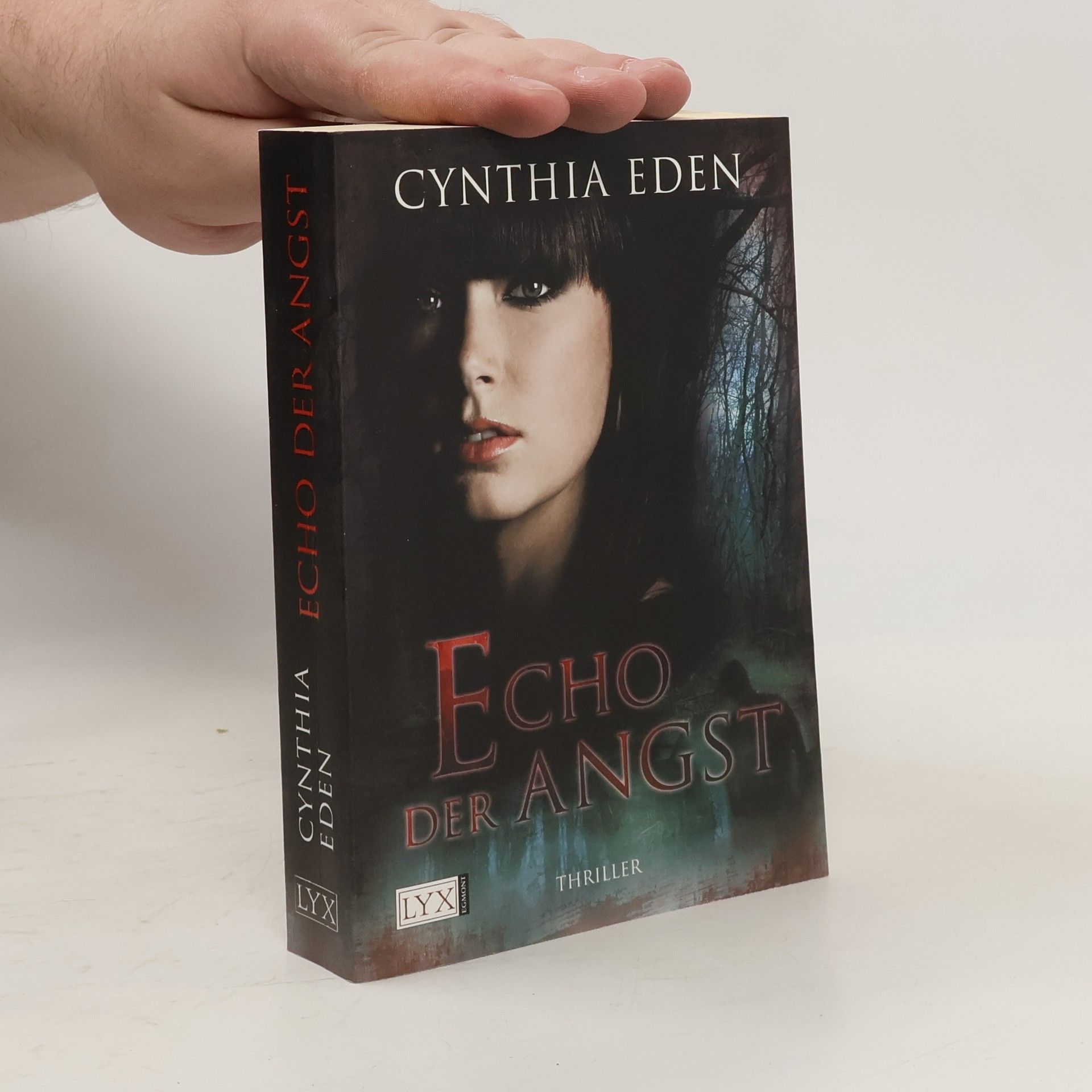Cynthia Eden Echo der Angst