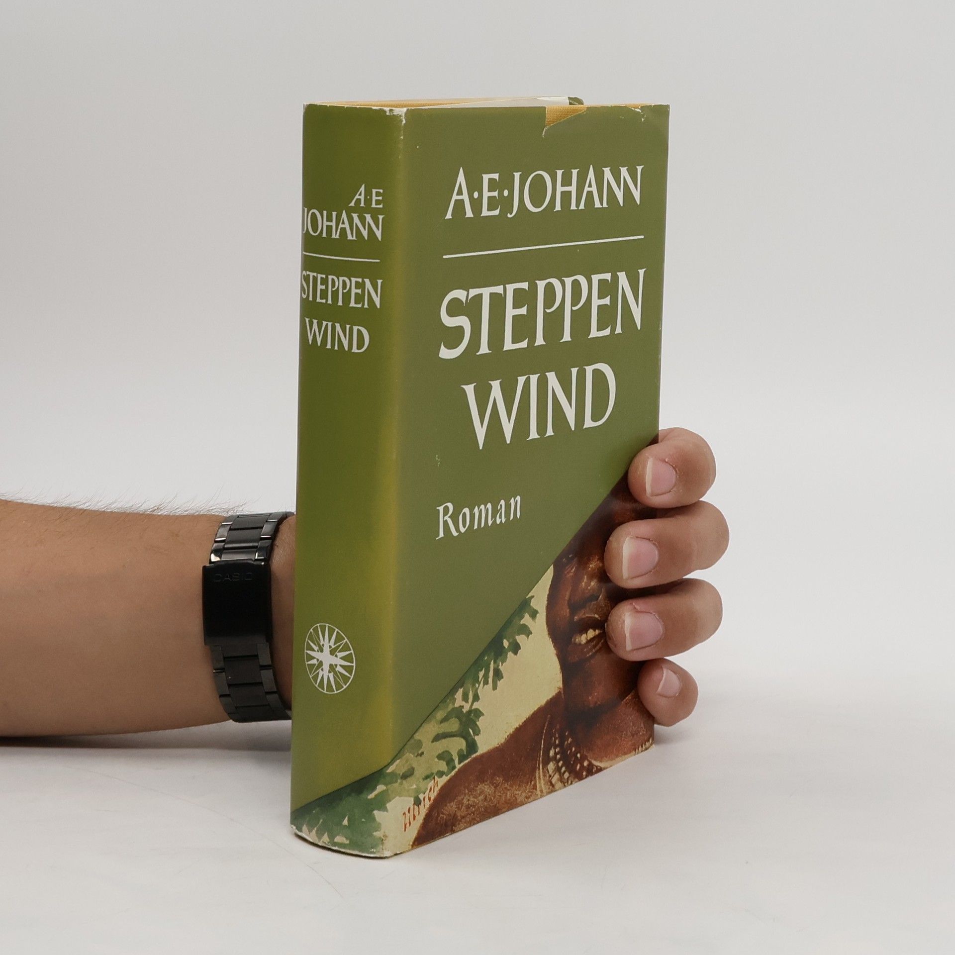 Alfred E. Johann Steppen Wind