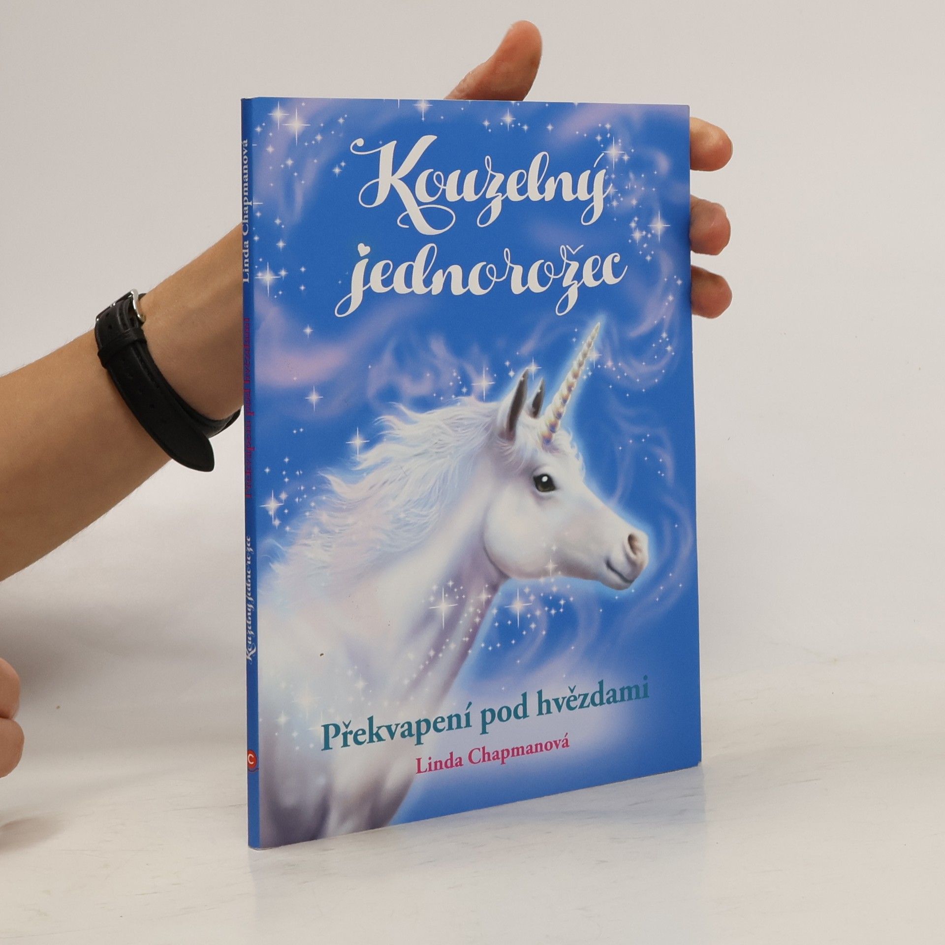 Linda Chapman Překvapení pod hvězdami