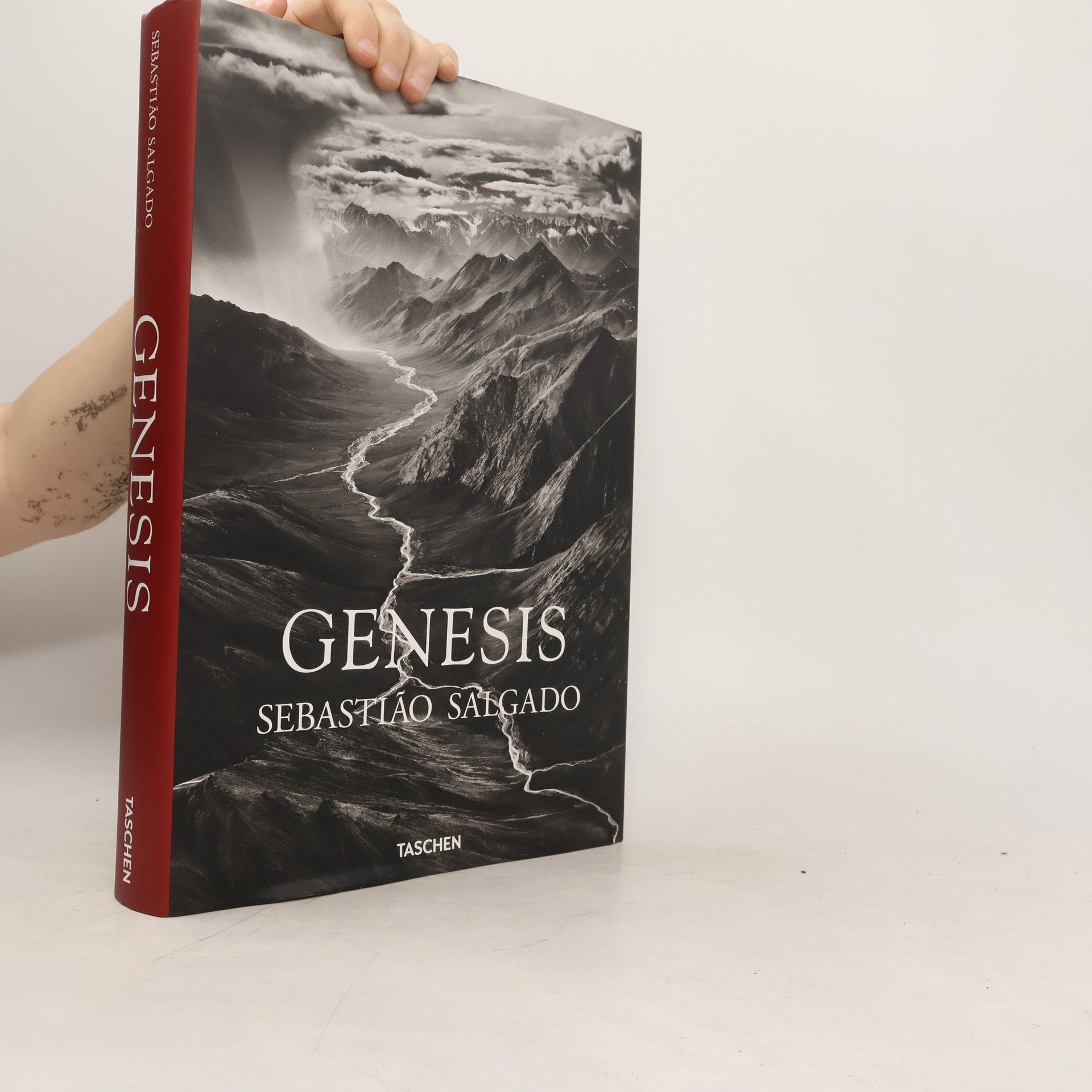 Sebastião Salgado Genesis