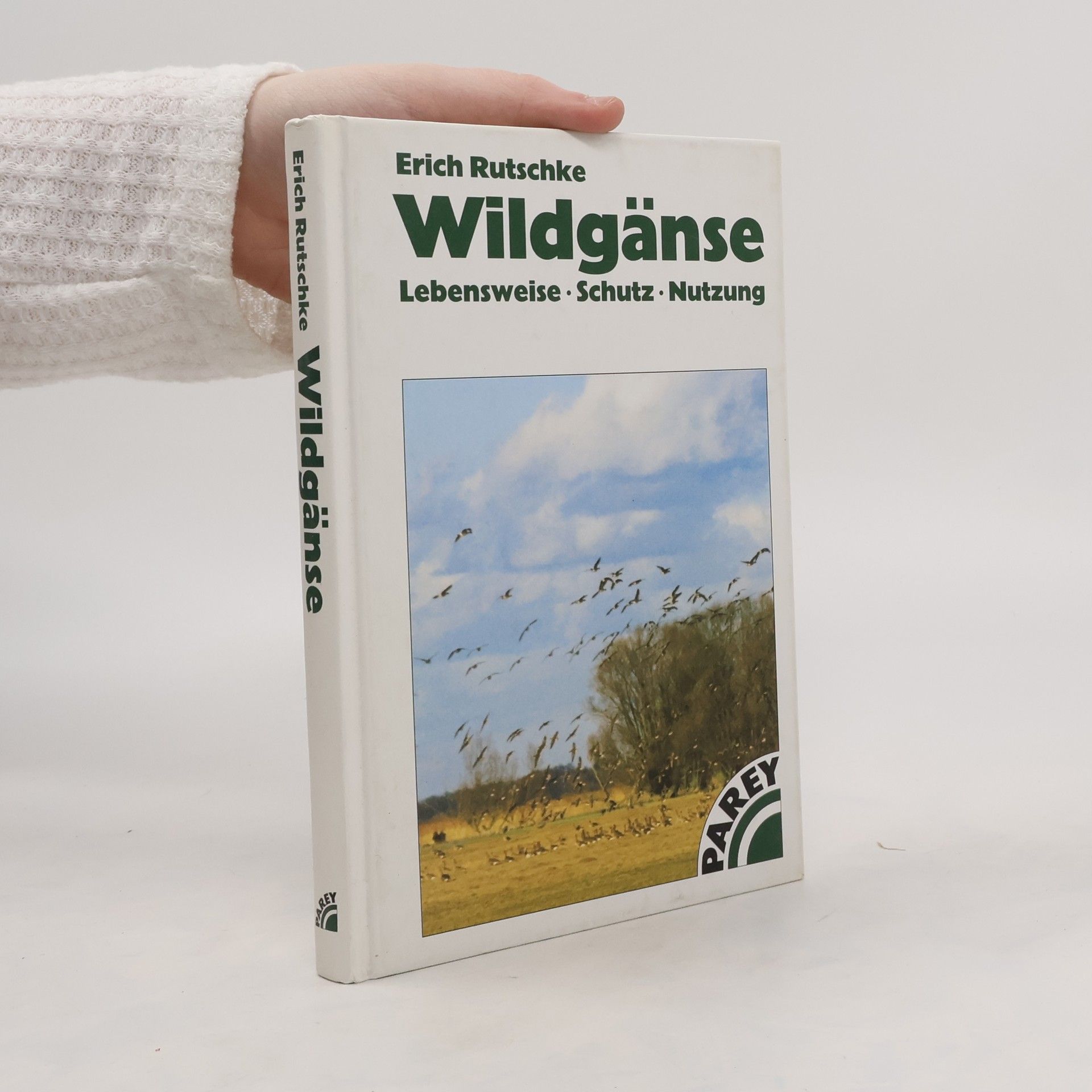 Erich Rutschke Wildgänse