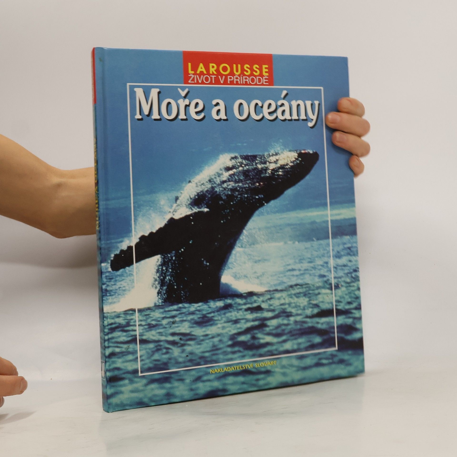 Vladimír Čadský Moře a oceány